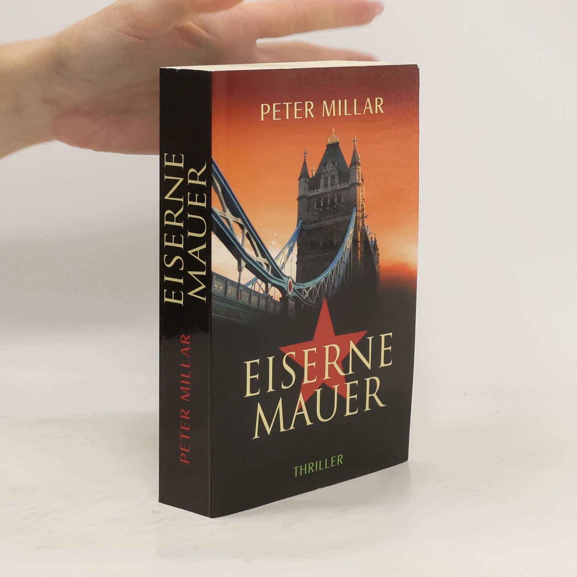 Peter Millar Eiserne Mauer. Thriller