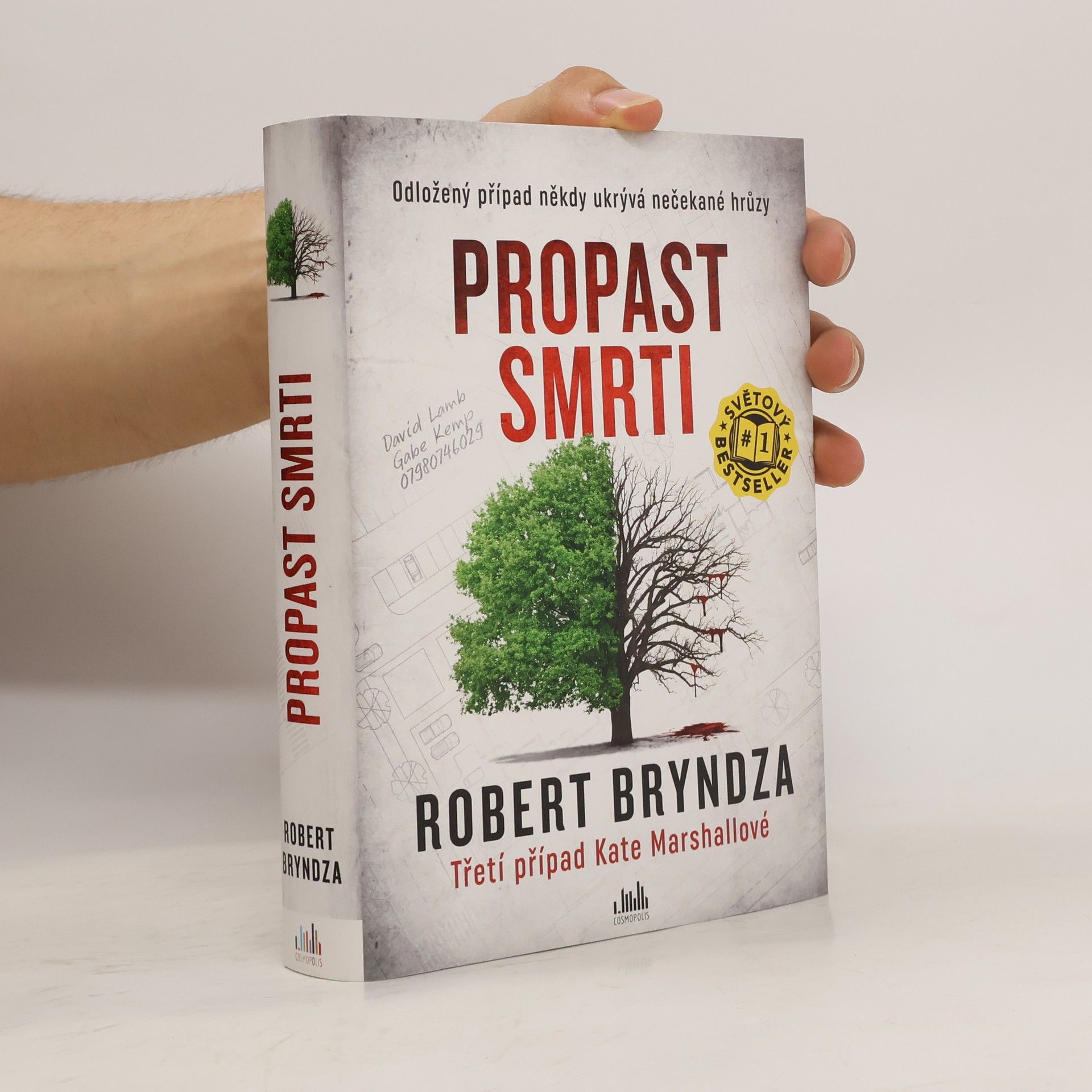 Robert Bryndza Propast smrti