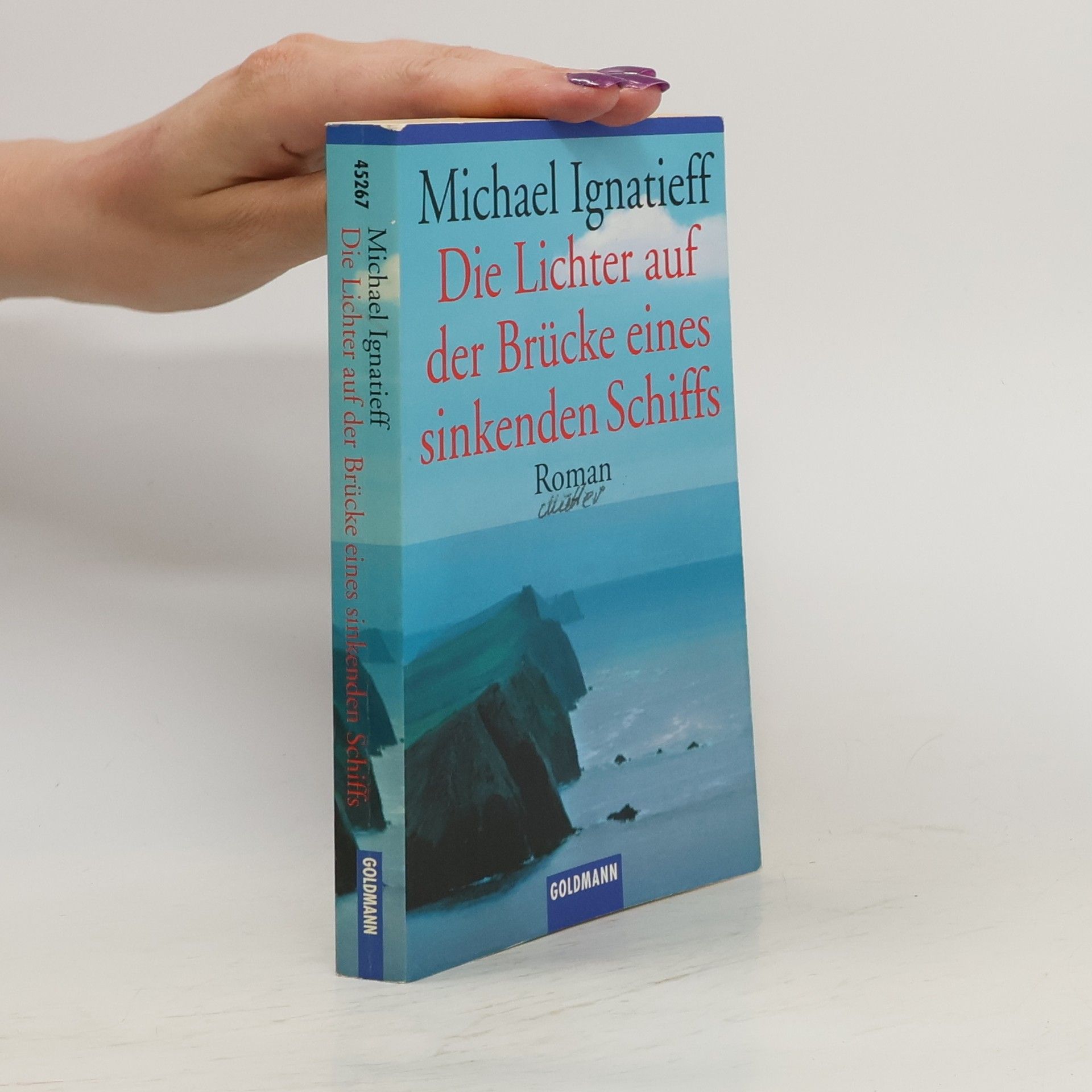 Michael Ignatieff Die Lichter auf der Brücke eines sinkenden Schiffs
