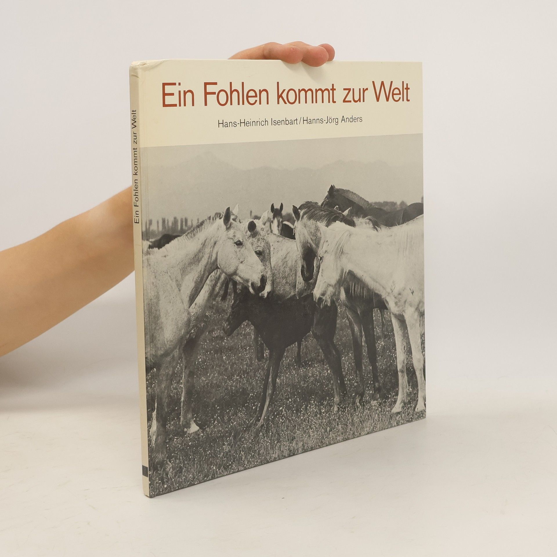 Hans Heinrich Isenbart Ein Fohlen kommt zur Welt