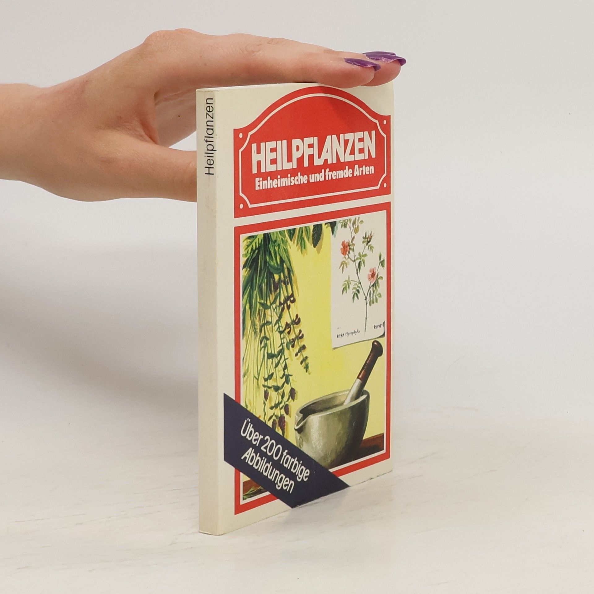 Autorenkollektiv Heilpflanzen. Einheimische und fremde Arten