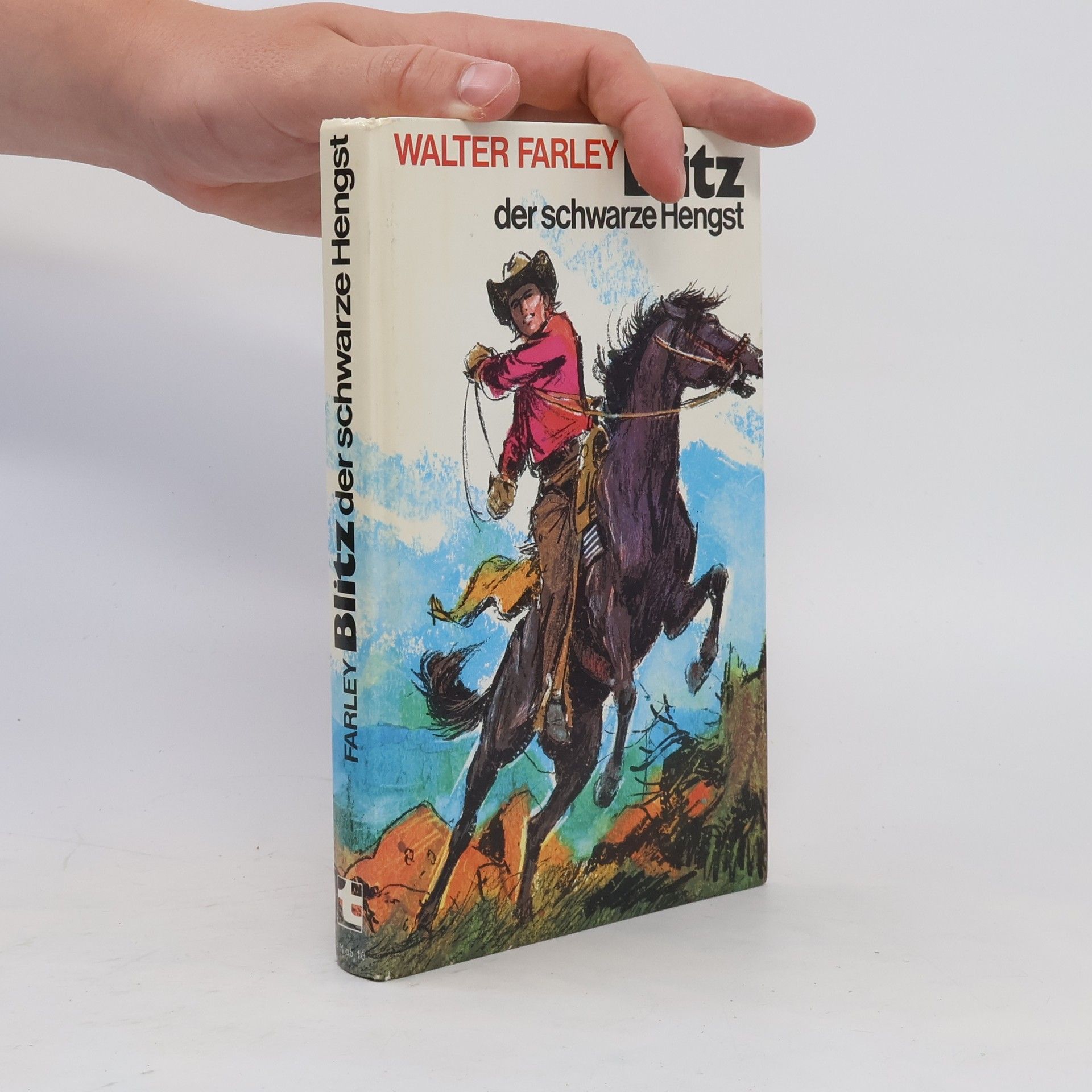 Walter Farley Blitz der schwarze Hengst