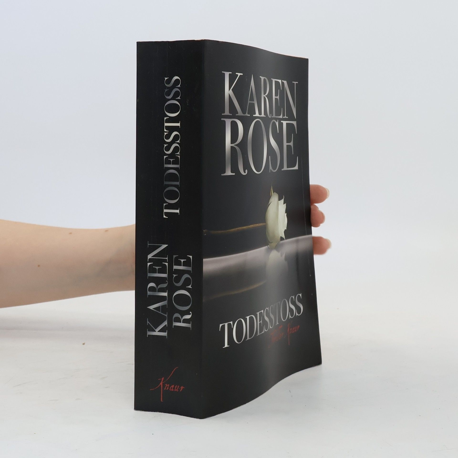 Karen Rose Todesstoß