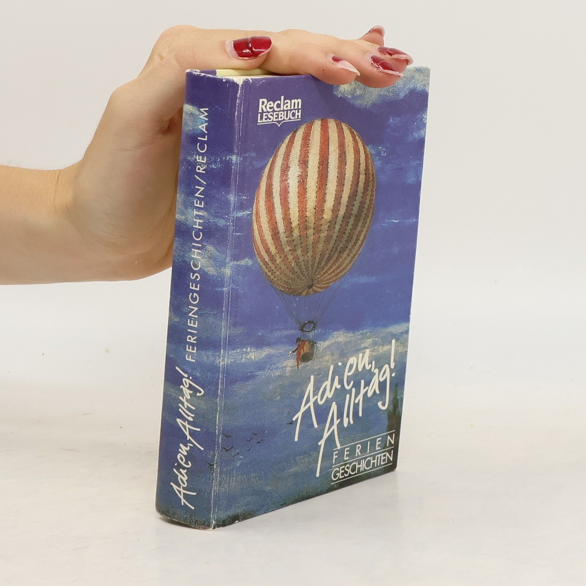 Silvia Friedrich-Rust Adieu, Alltag!