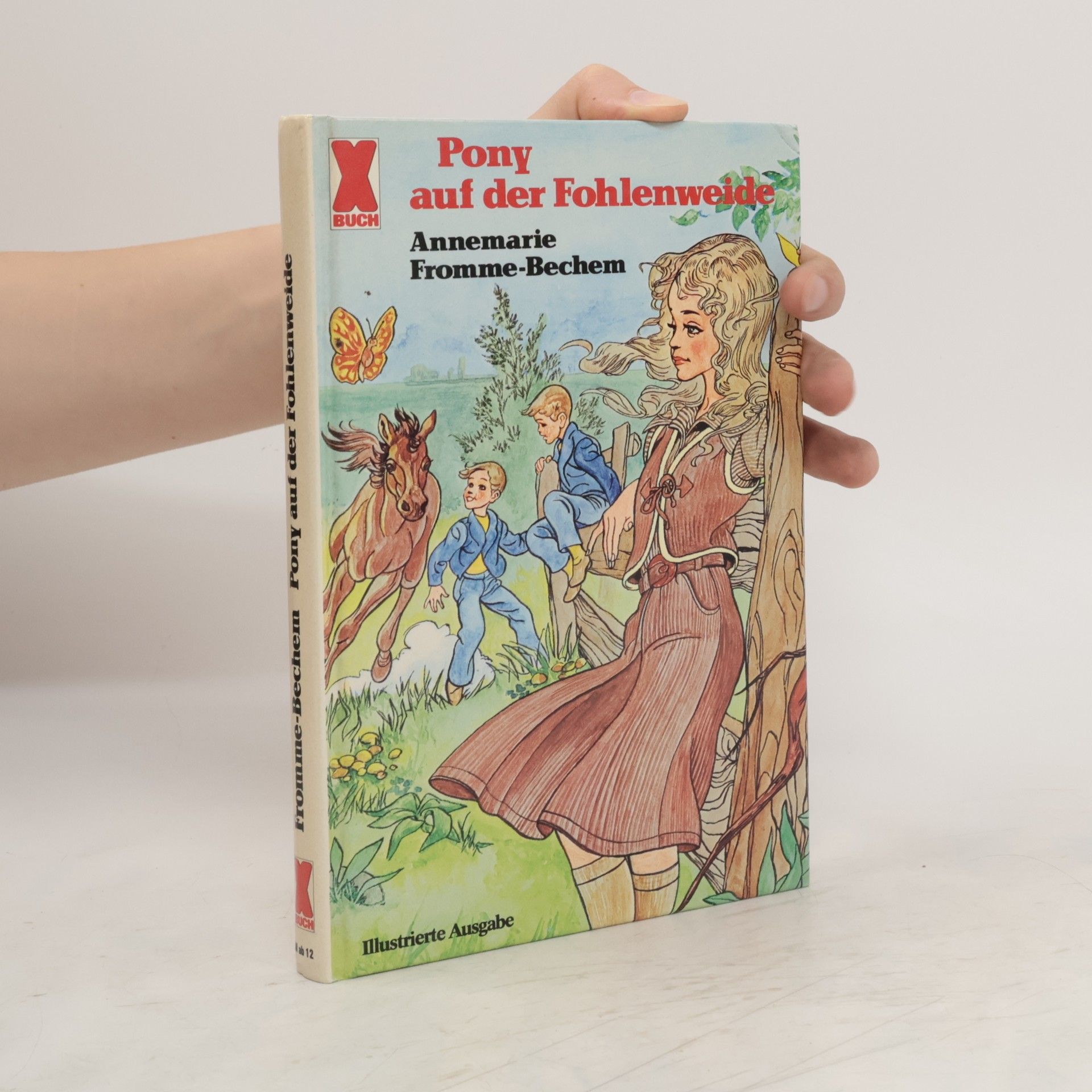 Annemarie Fromme-Bechem Pony auf der Fohlenwelde