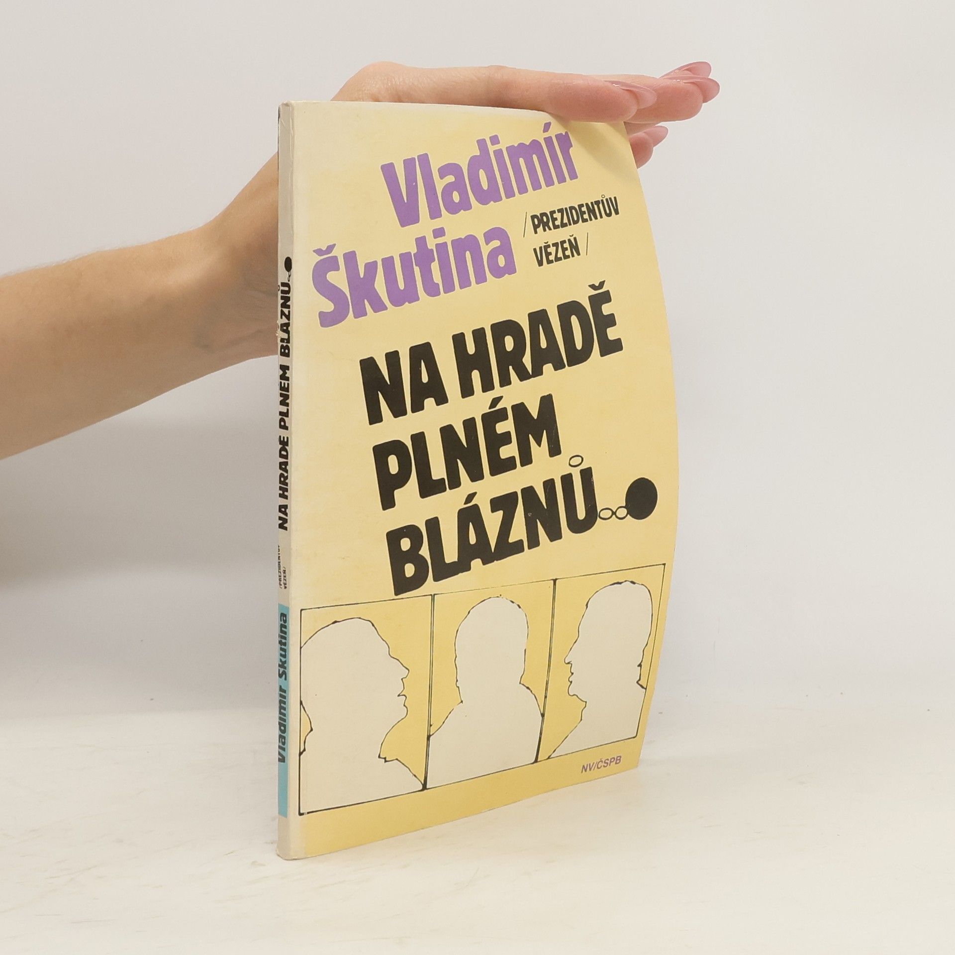 Vladimír Škutina Na hradě plném bláznů