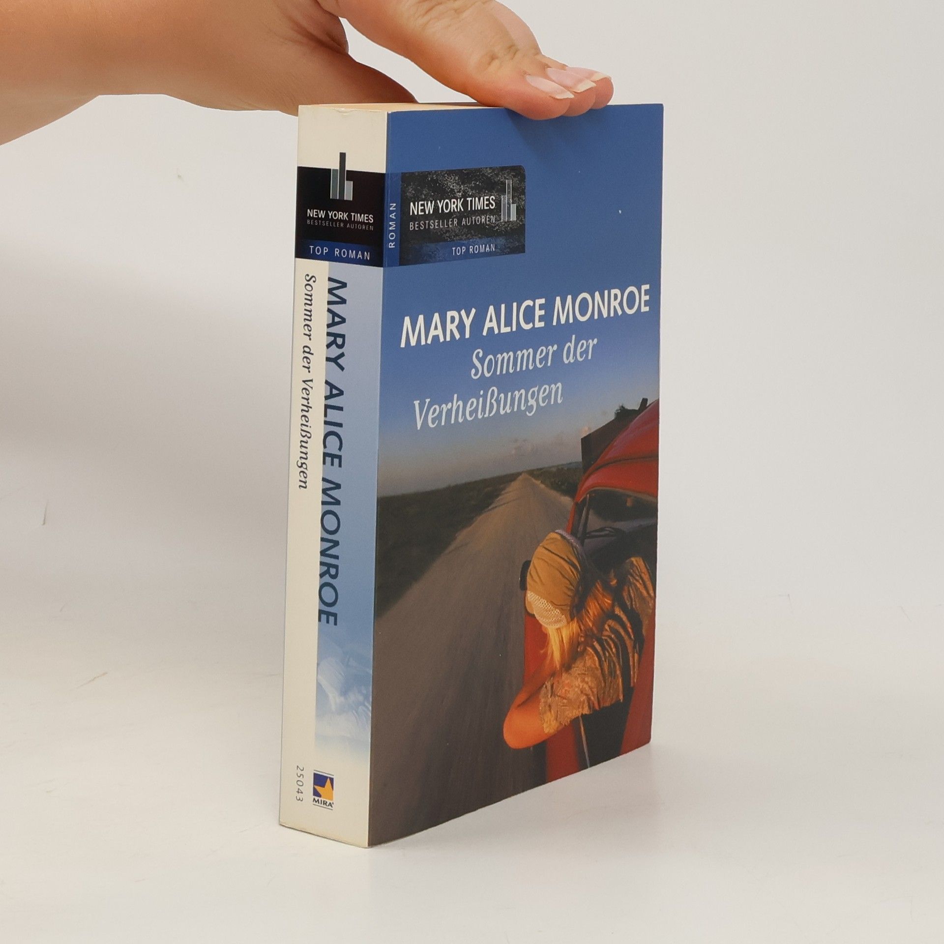 Mary Alice Monroe Sommer der Verheißungen
