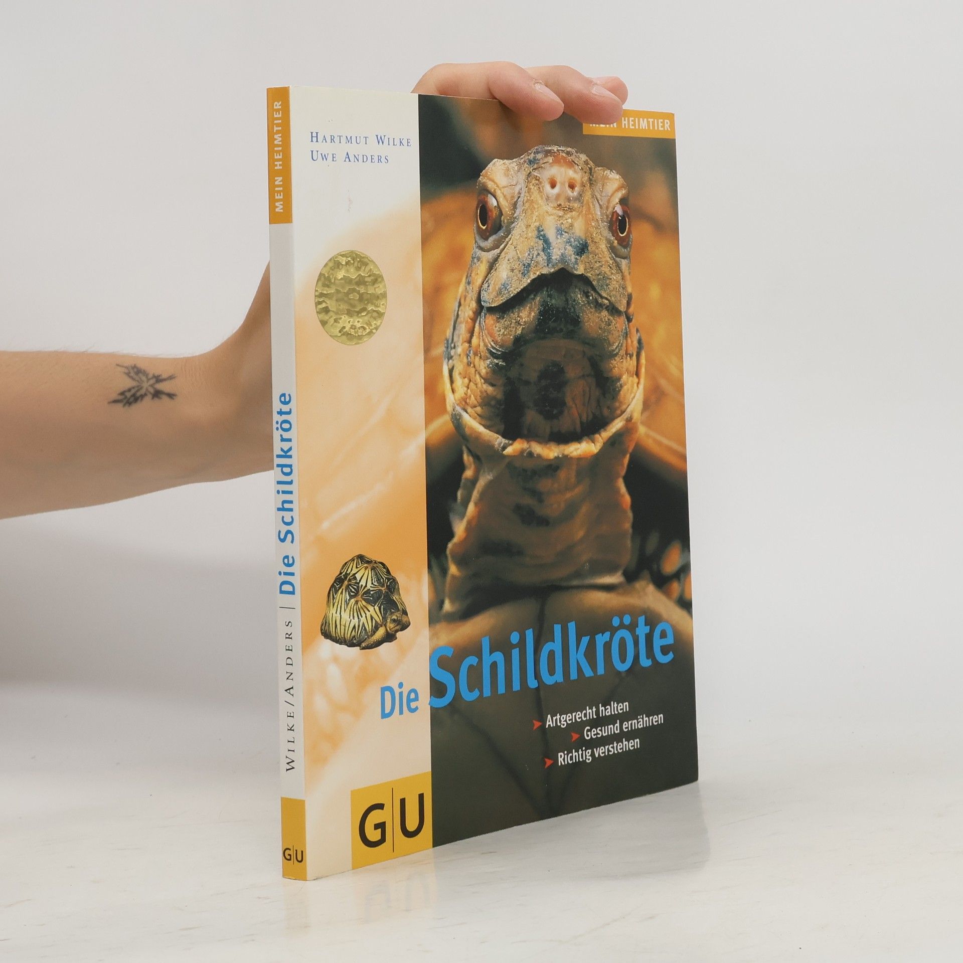 Hartmut Wilke Die Schildkröte