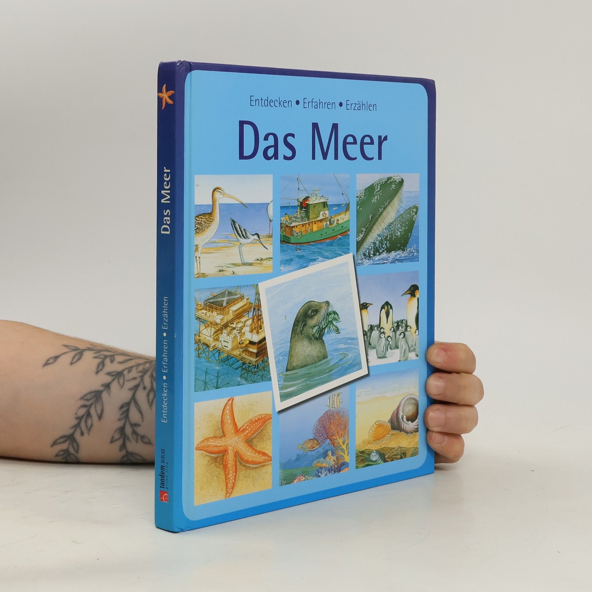 Collectif d'auteurs Das Meer