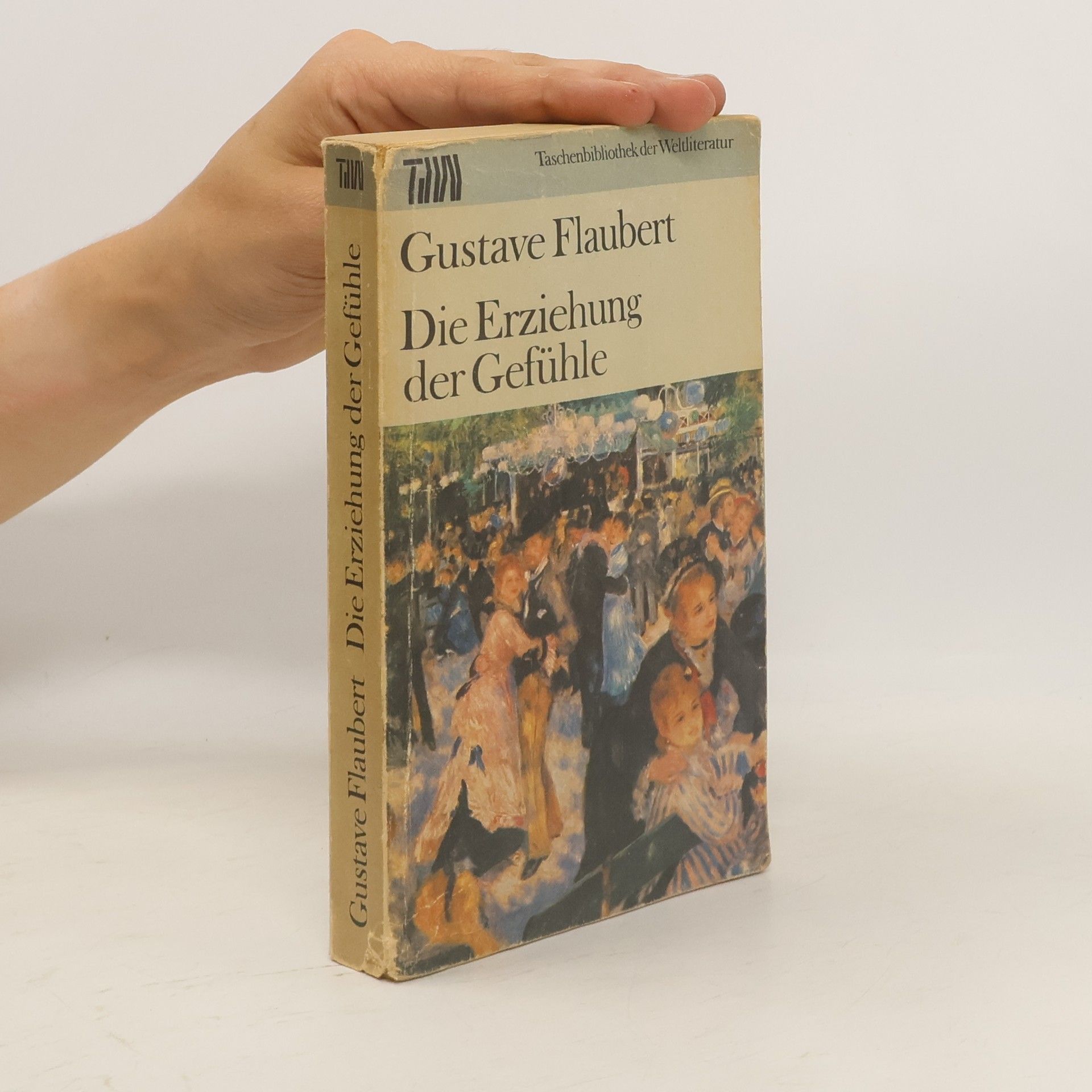 Gustave Flaubert Die Erziehung Der Gefühle