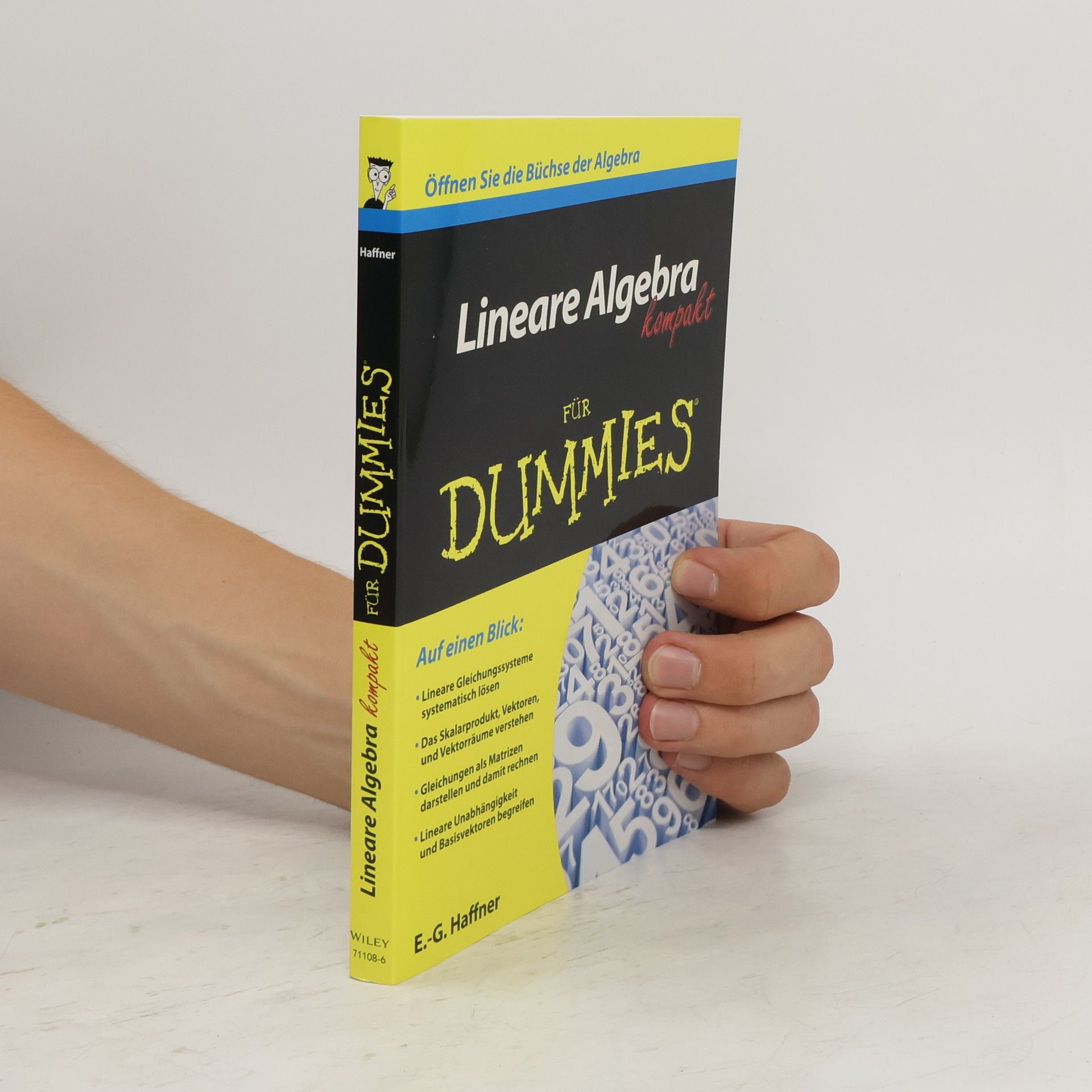 Ernst-Georg Schwill Lineare Algebra kompakt für Dummies