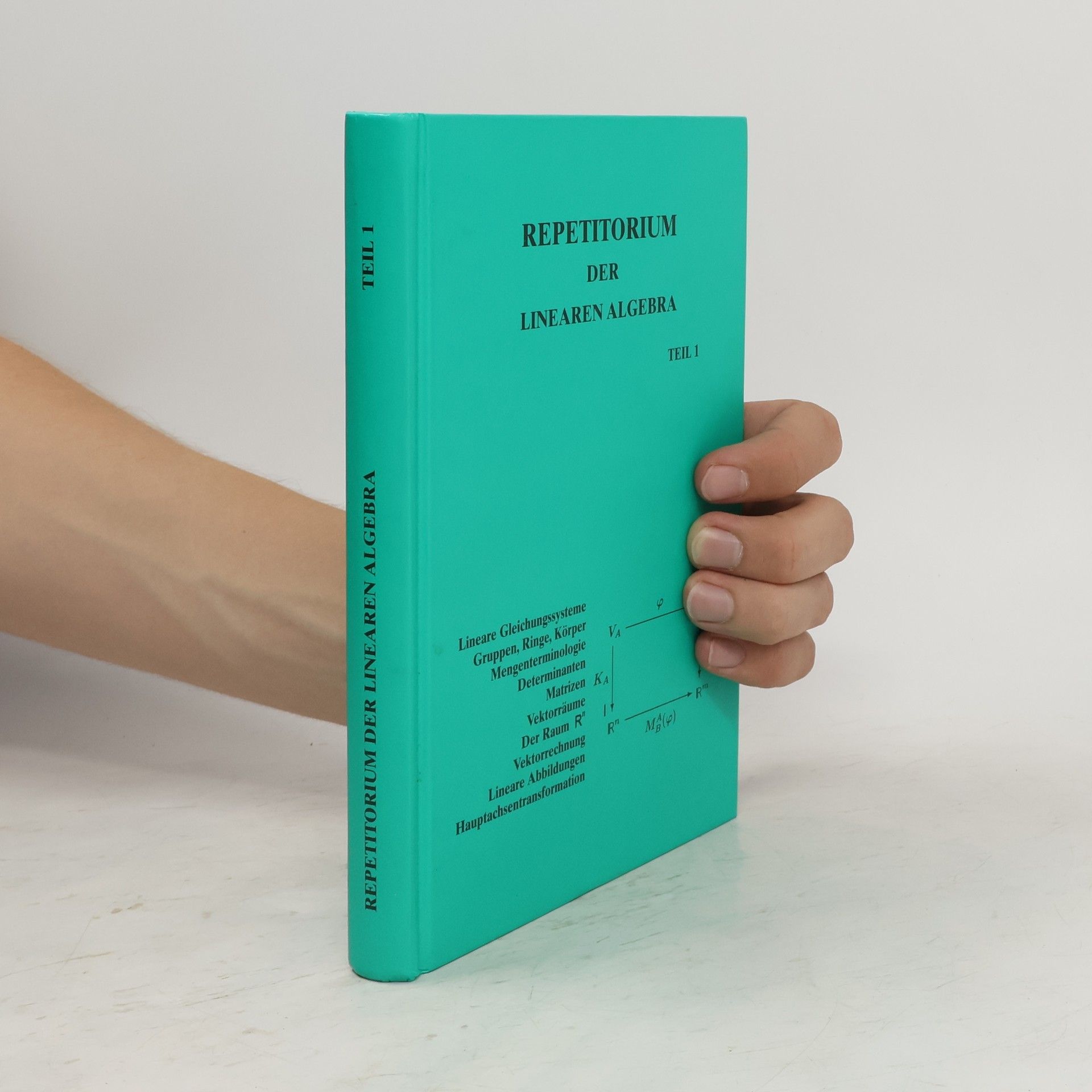 Detlef Wille Repetitorium der linearen Algebra