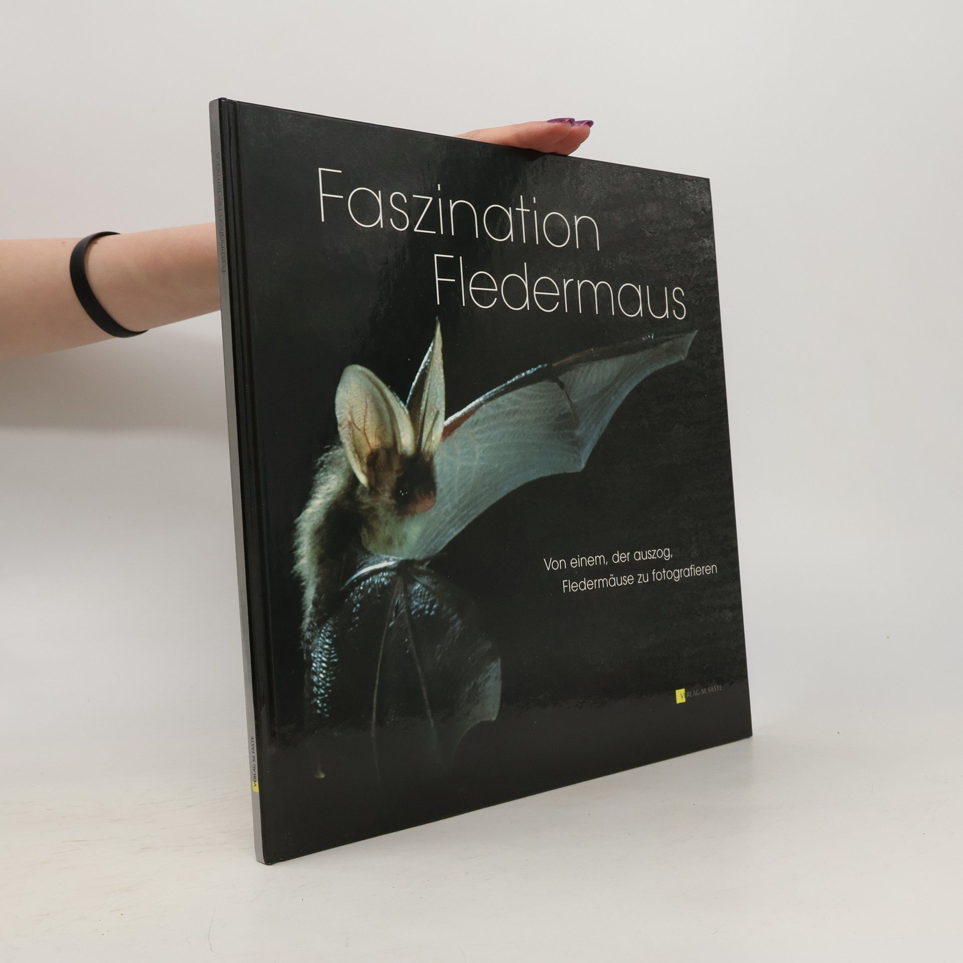 Bernd Stein Faszination Fledermaus