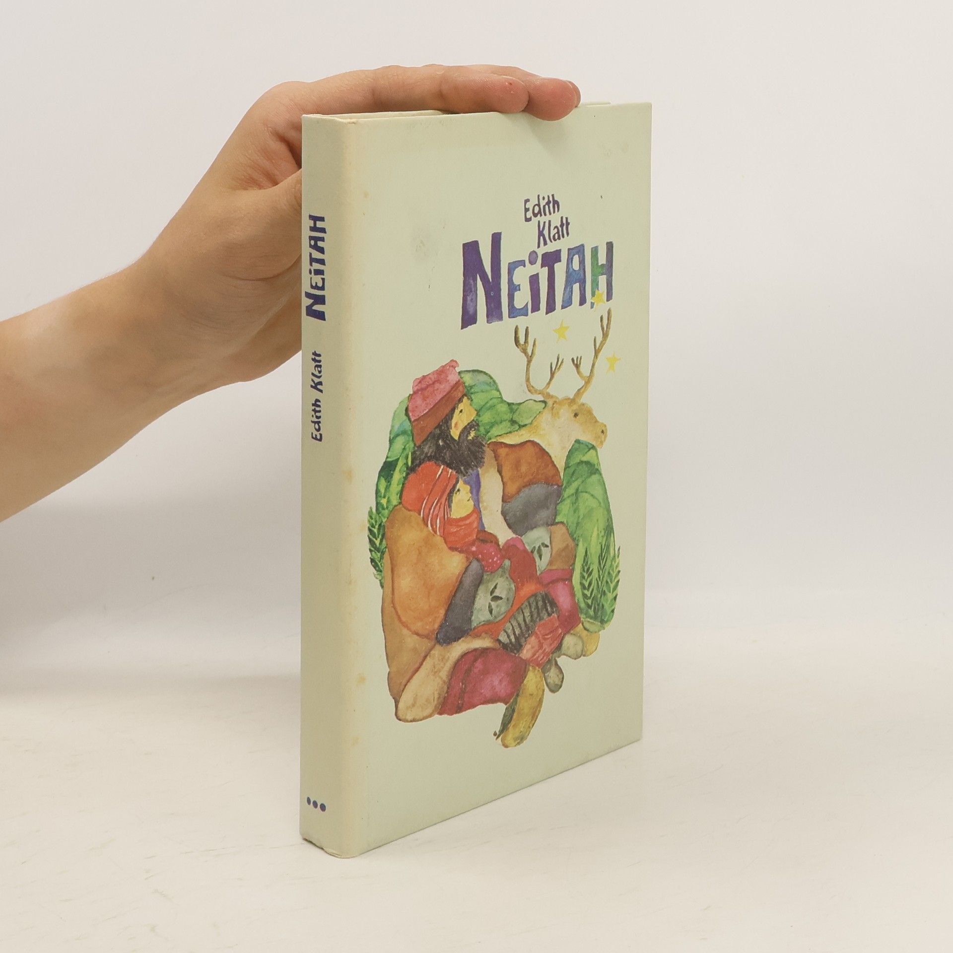 Edith Klatt Neitah. Die Geschichte eines Lappenmädchens