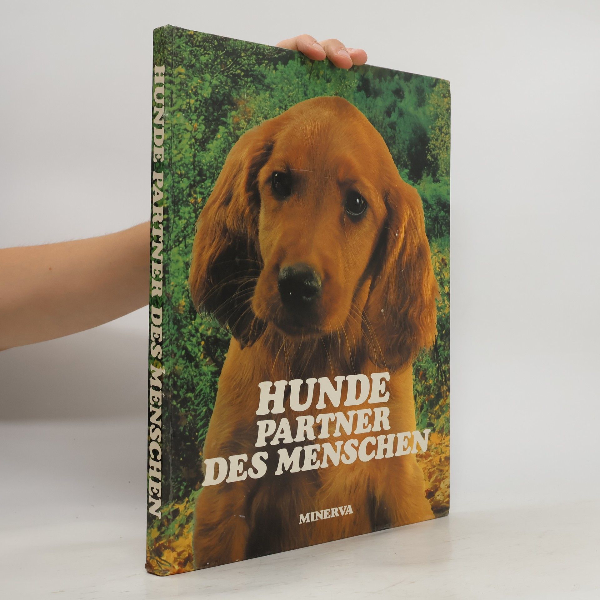 Philippe de Wailly Hunde