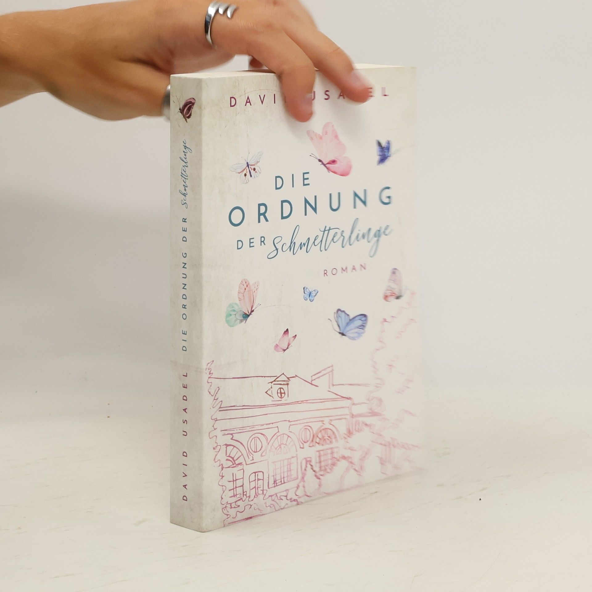 David Usadel Die Ordnung der Schmetterlinge