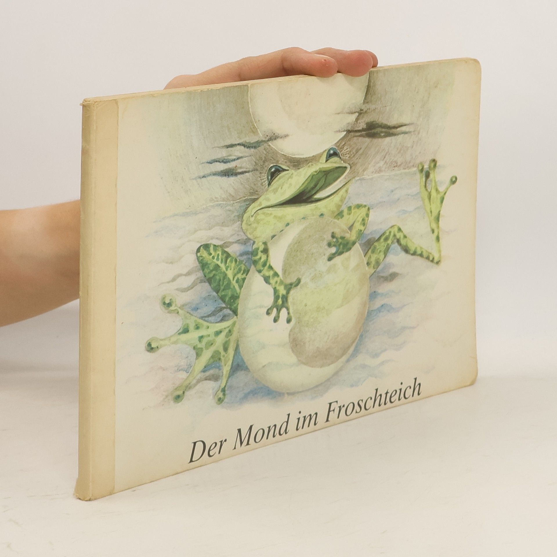 Autorenkollektiv Der Mond im Froschteich