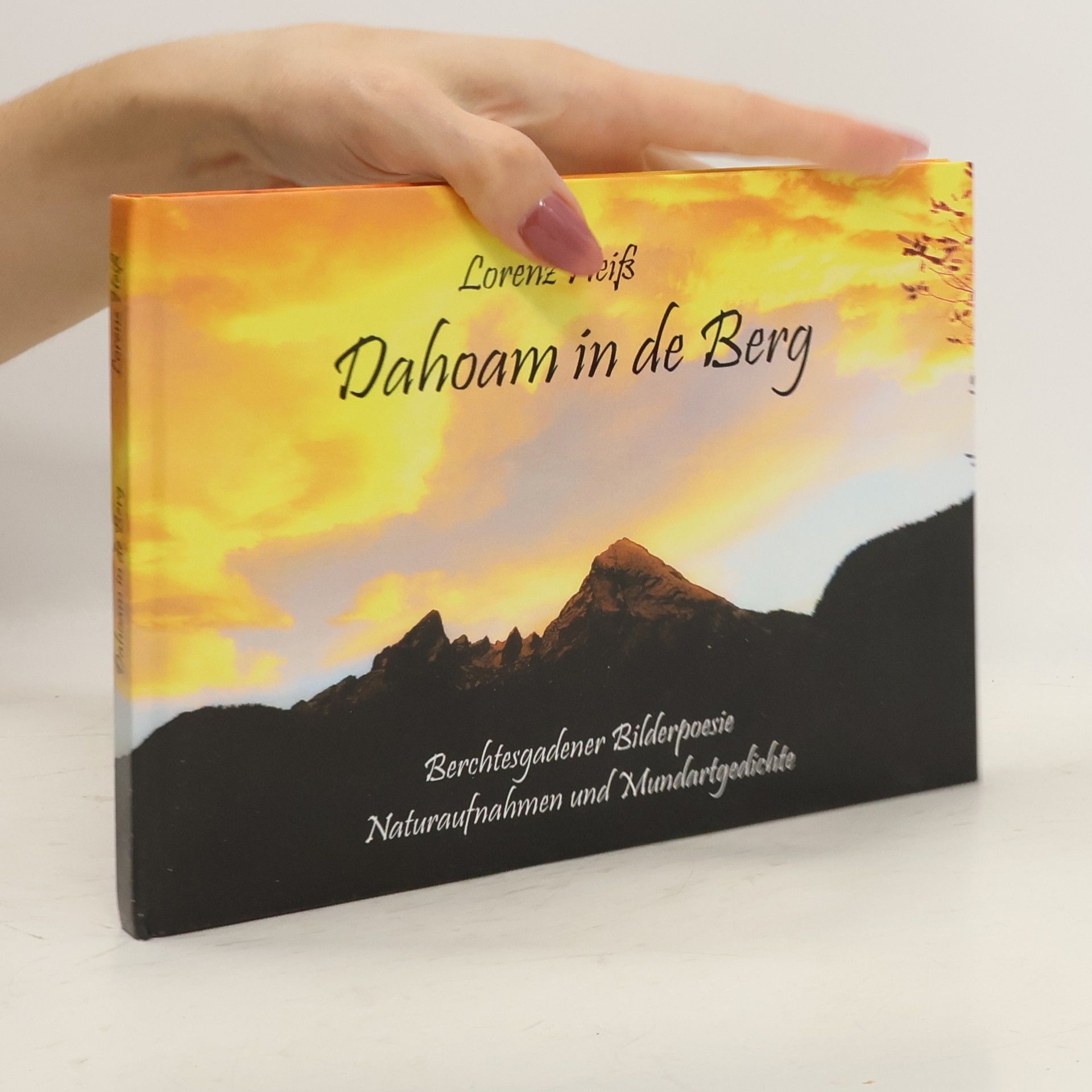 AA.VV. Dahoam in de Berg