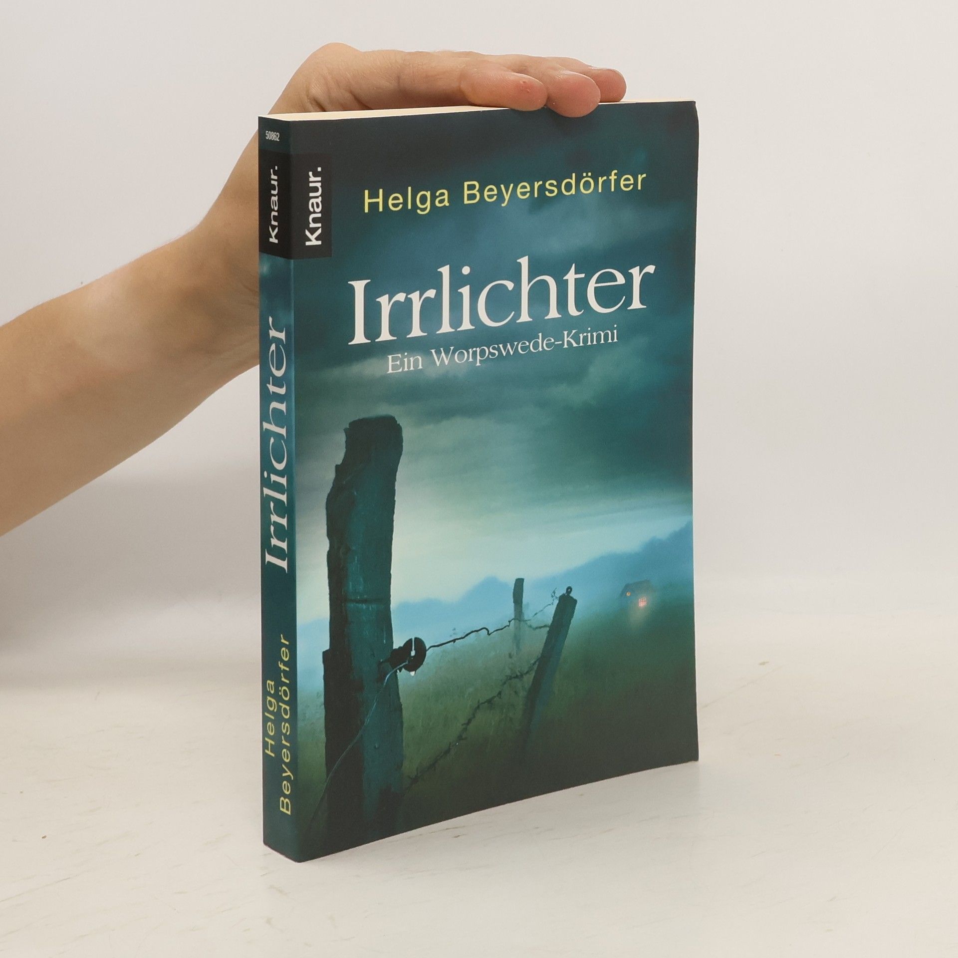 Helga Beyersdörfer Irrlichter