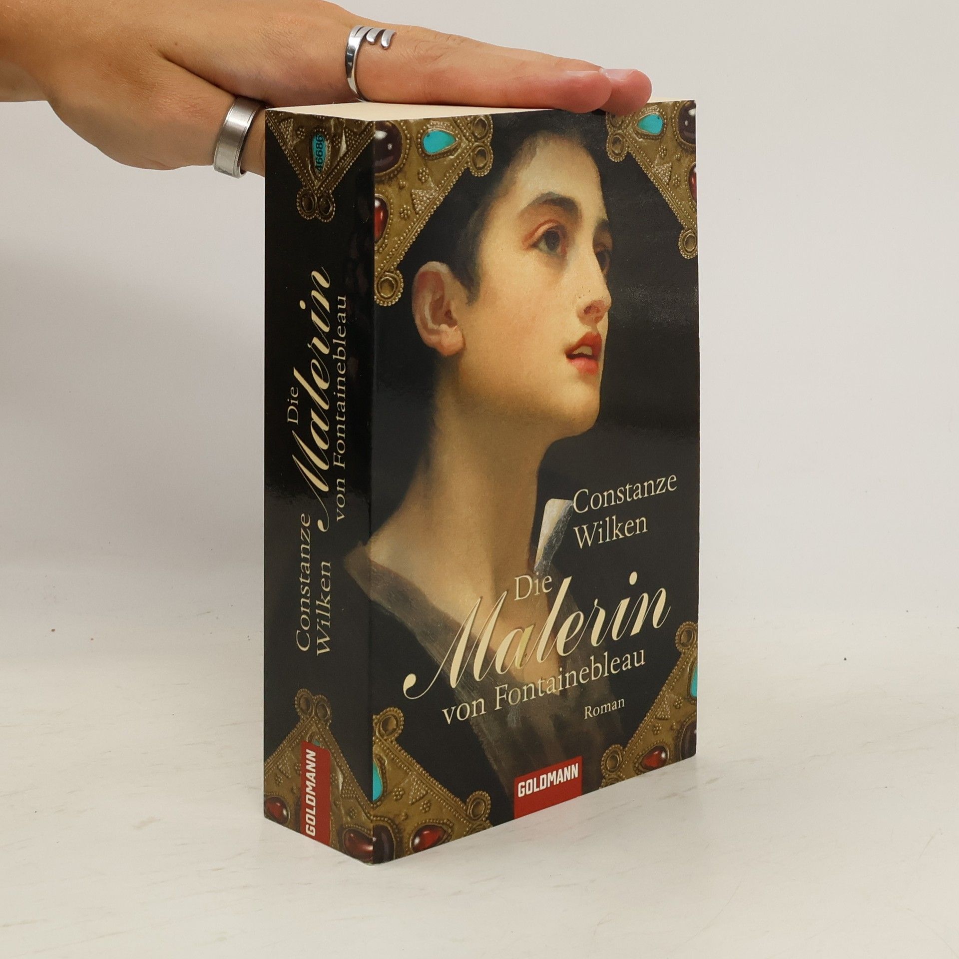 Constanze Wilken Die Malerin von Fontainebleau