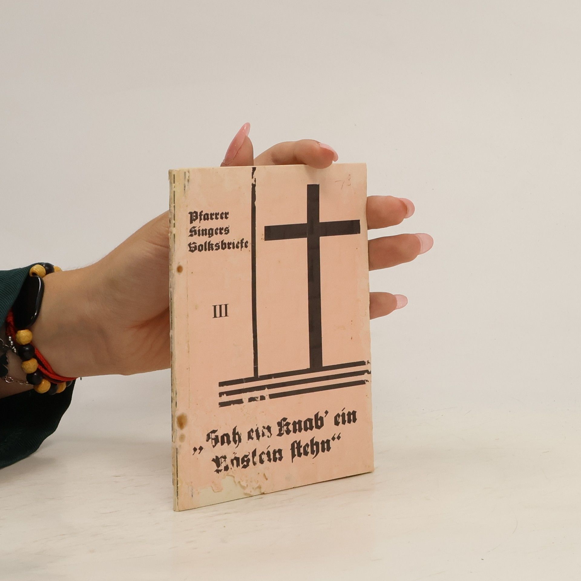 AA.VV. Sah ein Knab' ein Röslein stehn