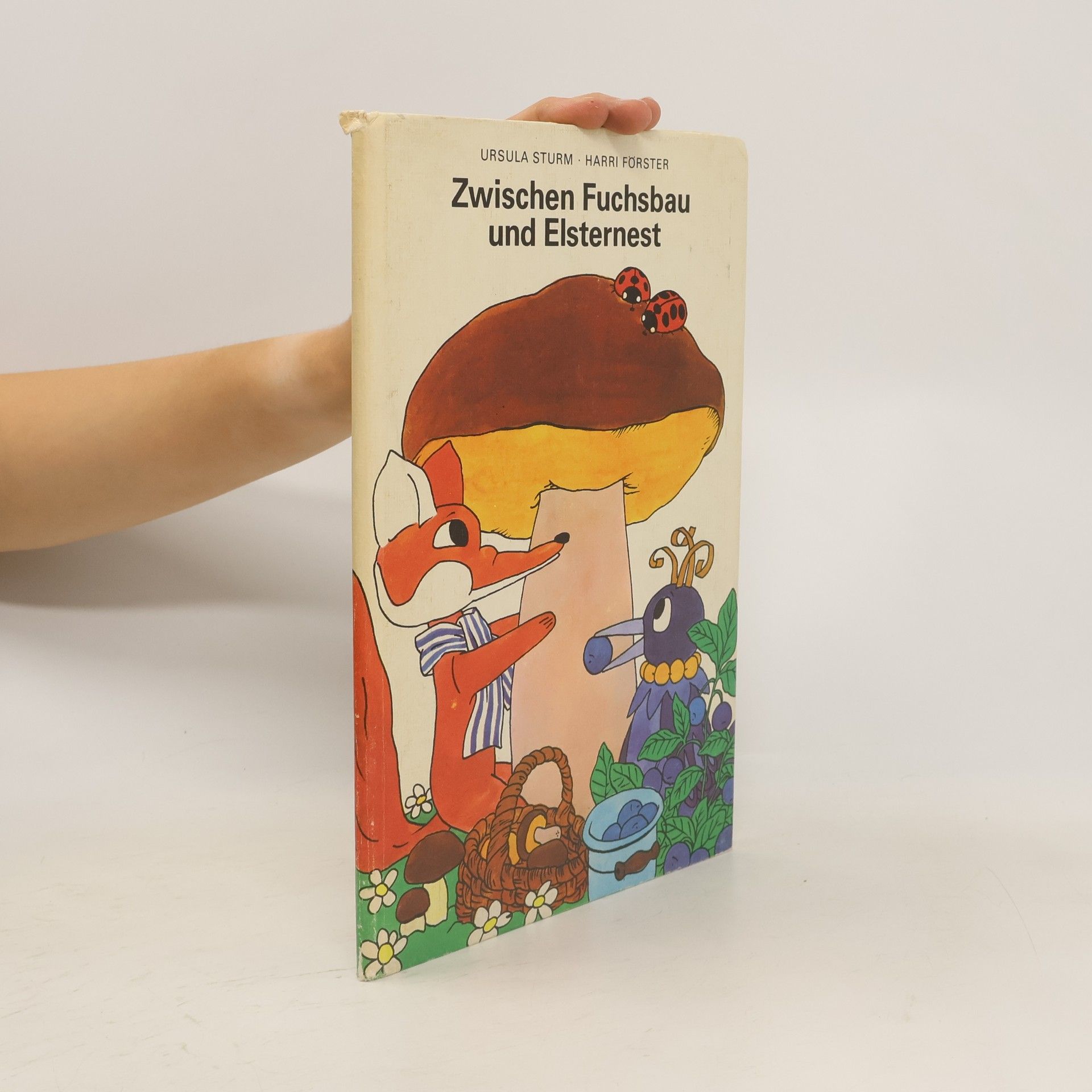Ursula Sturm  Zwischen Fuchsbau und Elsternest