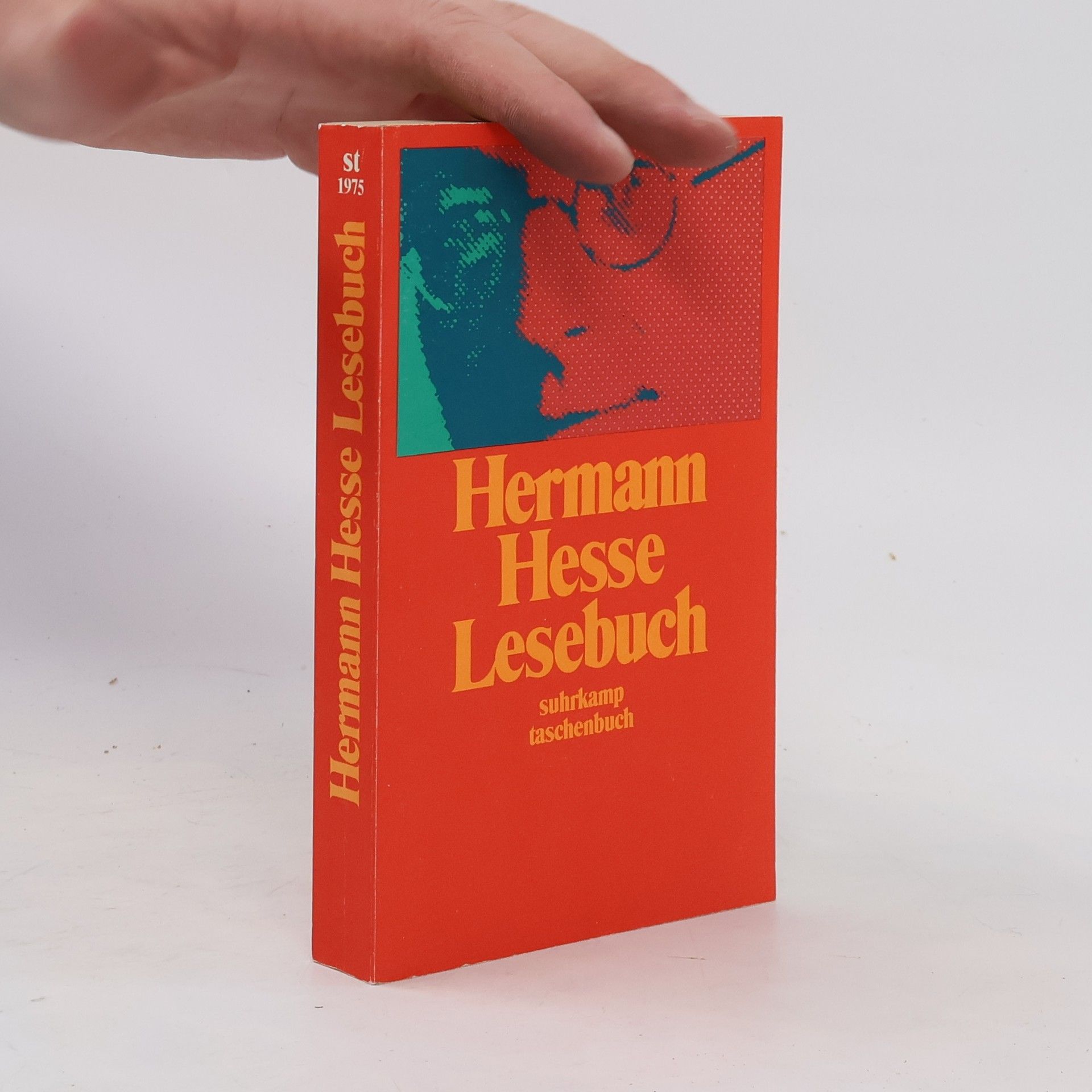 Hermann Hesse Lesebuch
