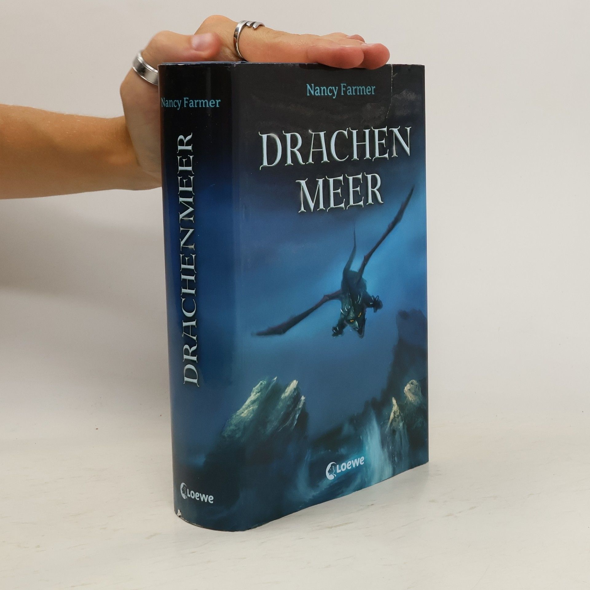 Nancy Farmer Drachen Meer