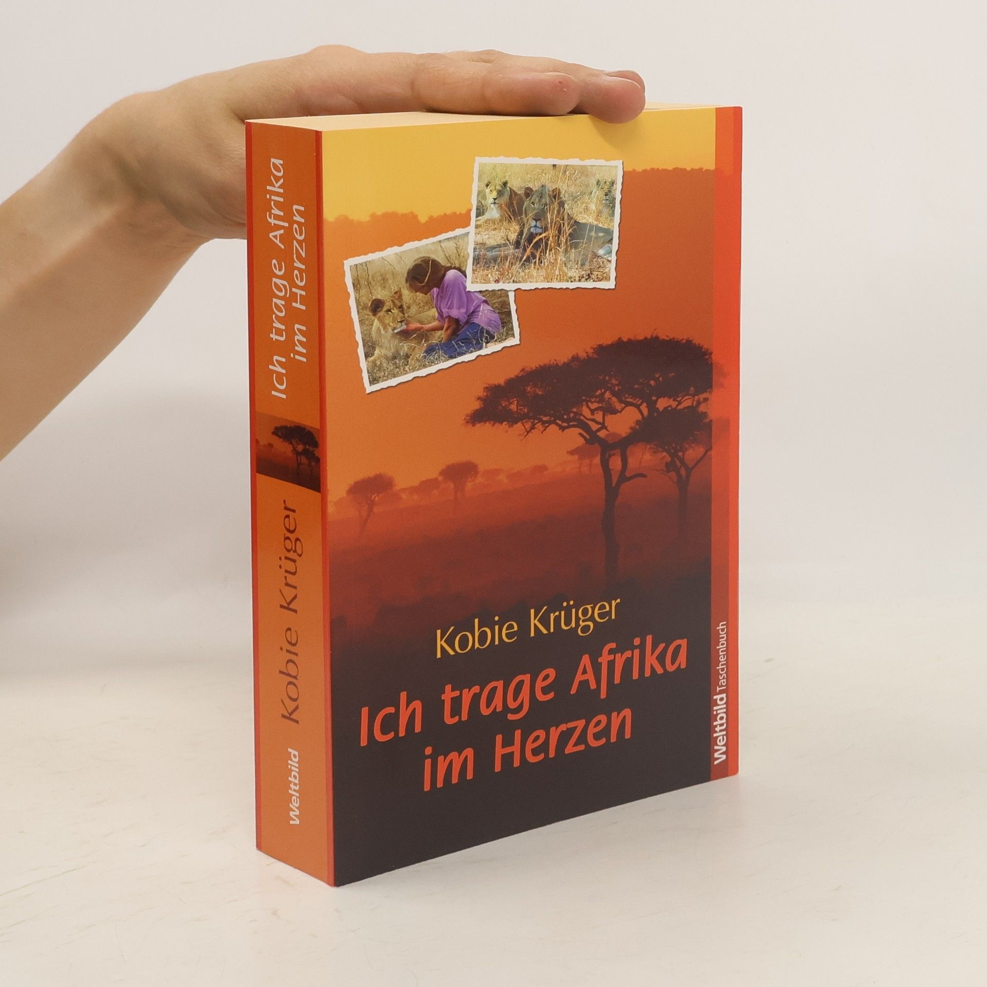 Kobie Krüger Ich trage Afrika im Herzen
