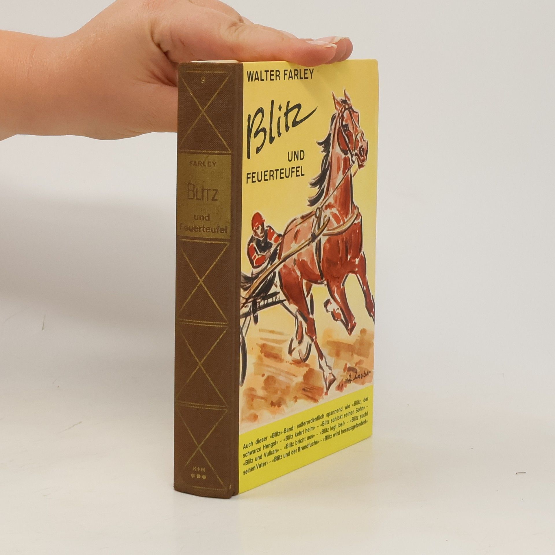 Walter Farley Blitz und der Feuerteufel