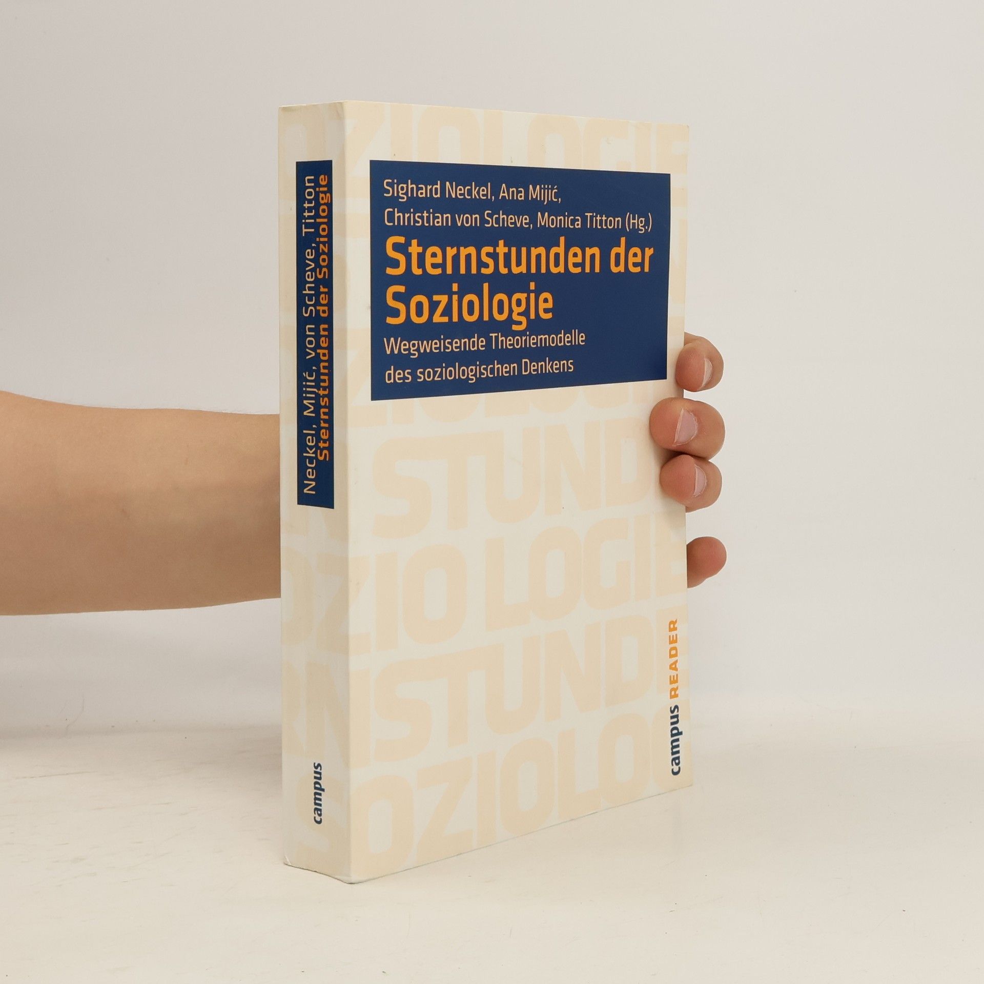 Sighard Neckel Sternstunden der Soziologie