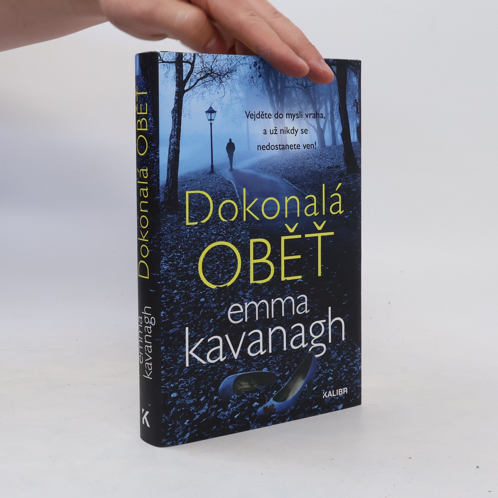 Emma Kavanagh Dokonalá oběť