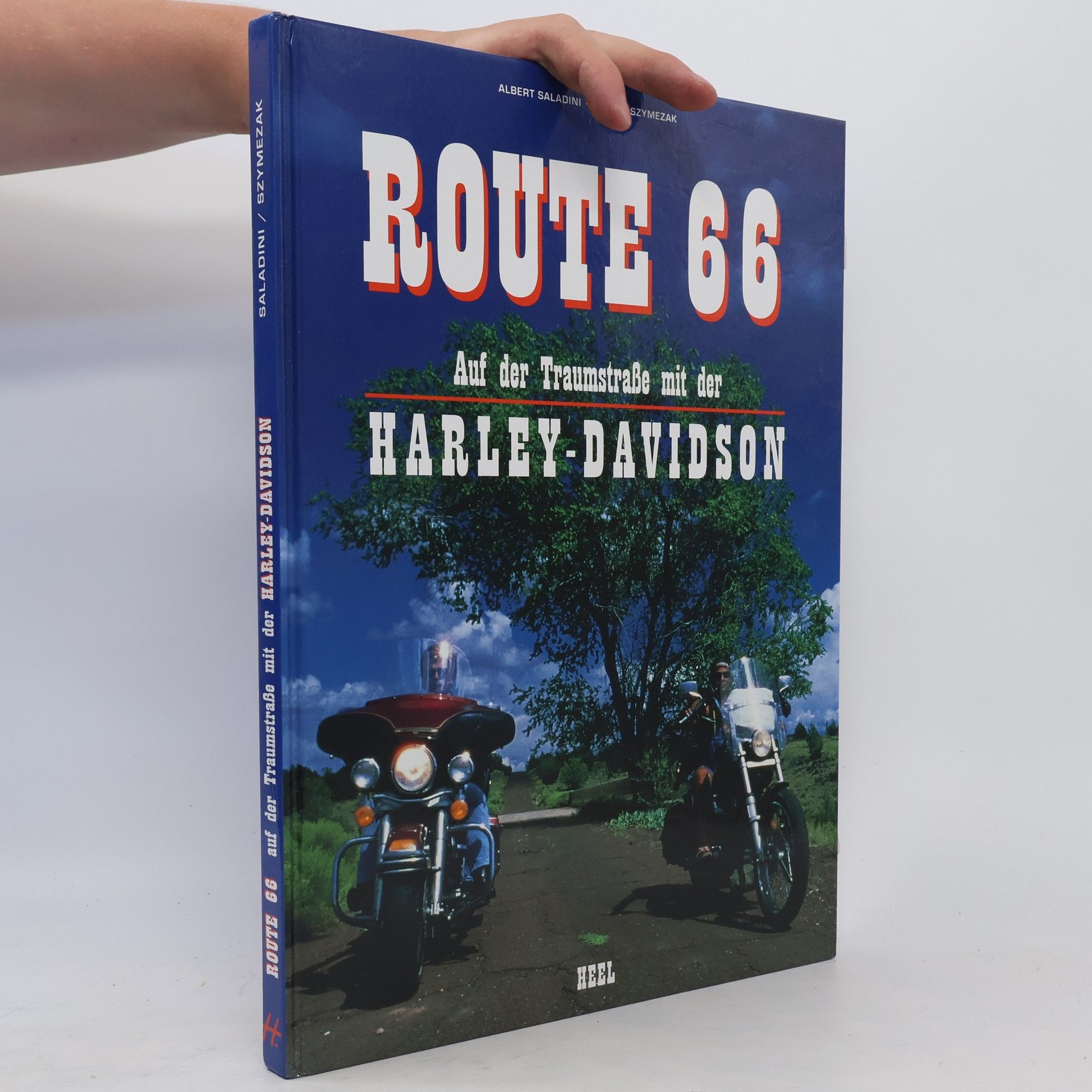 Albert Saladini Route 66