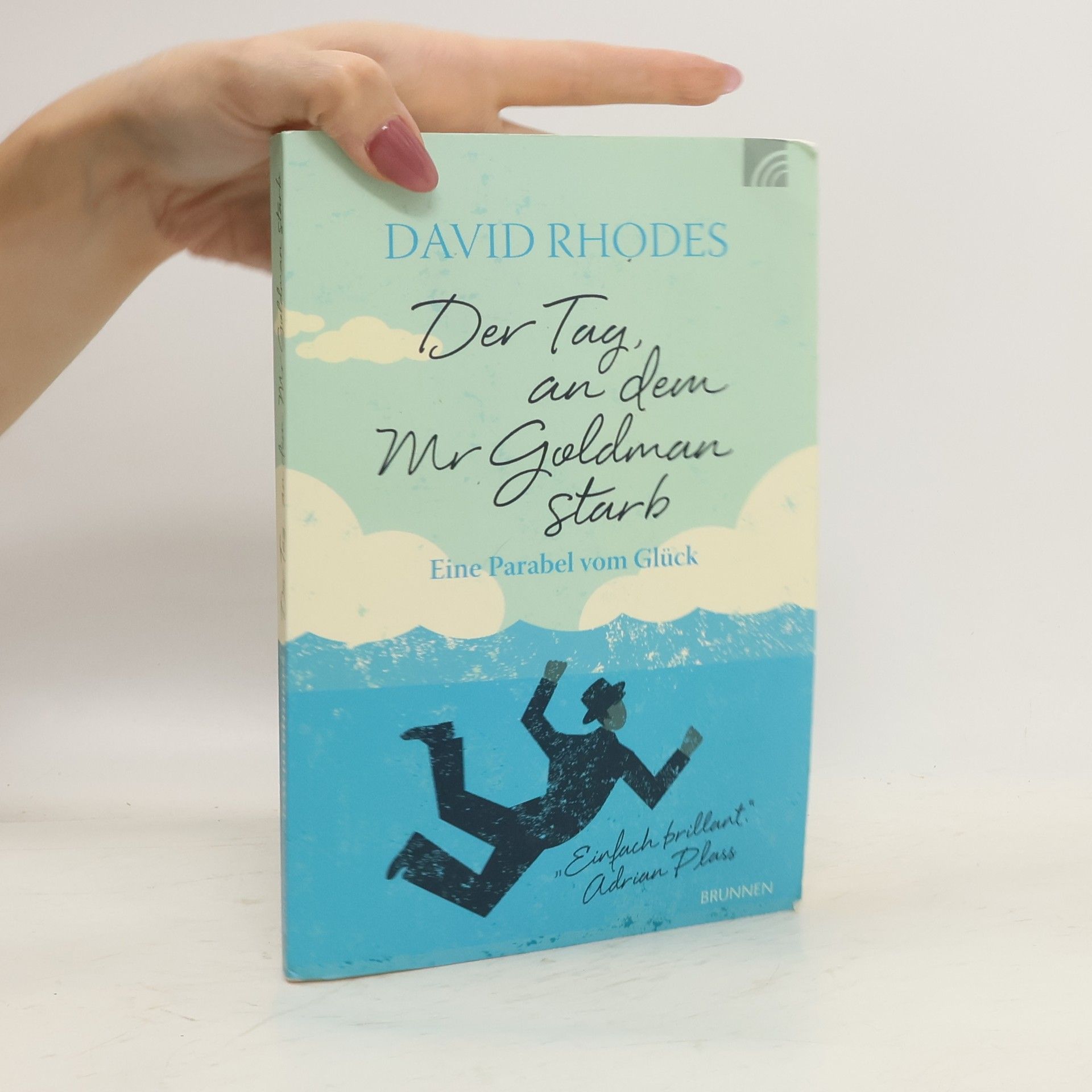 David Rhodes Der Tag, an dem Mr Goldman starb
