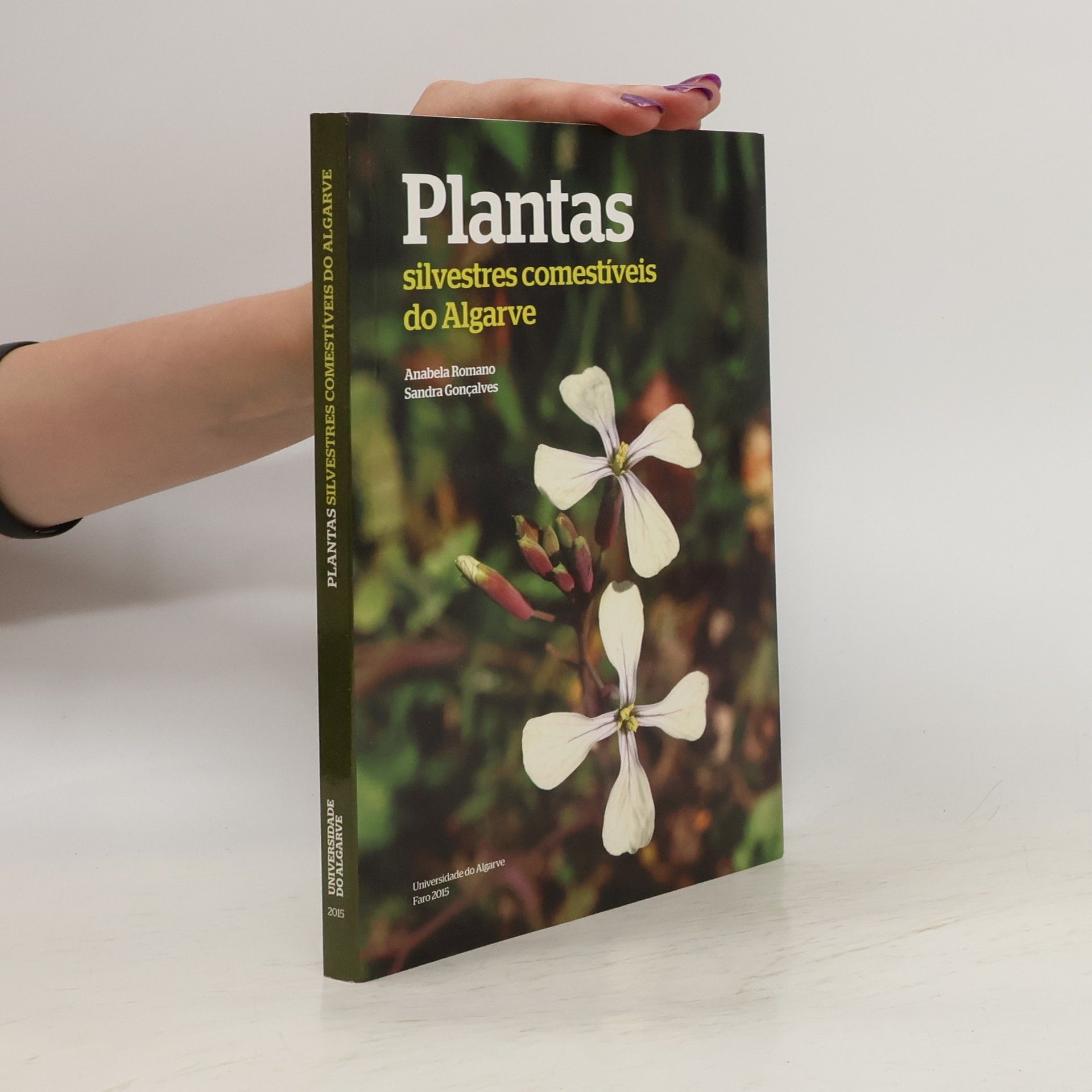 Anabela Romano Plantas silvestres comestíveis do Algarve
