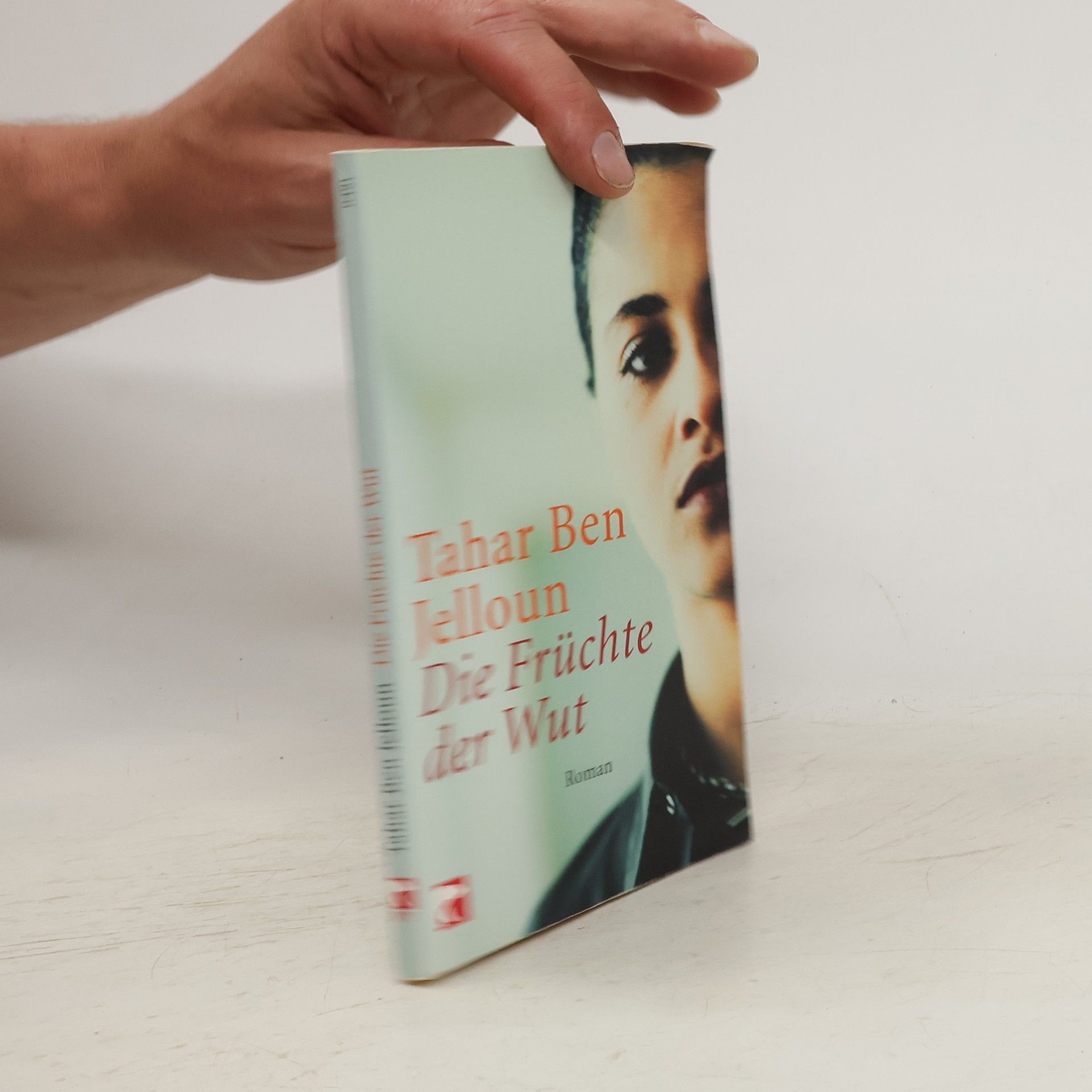 Tahar Ben Jelloun Die Früchte der Wut