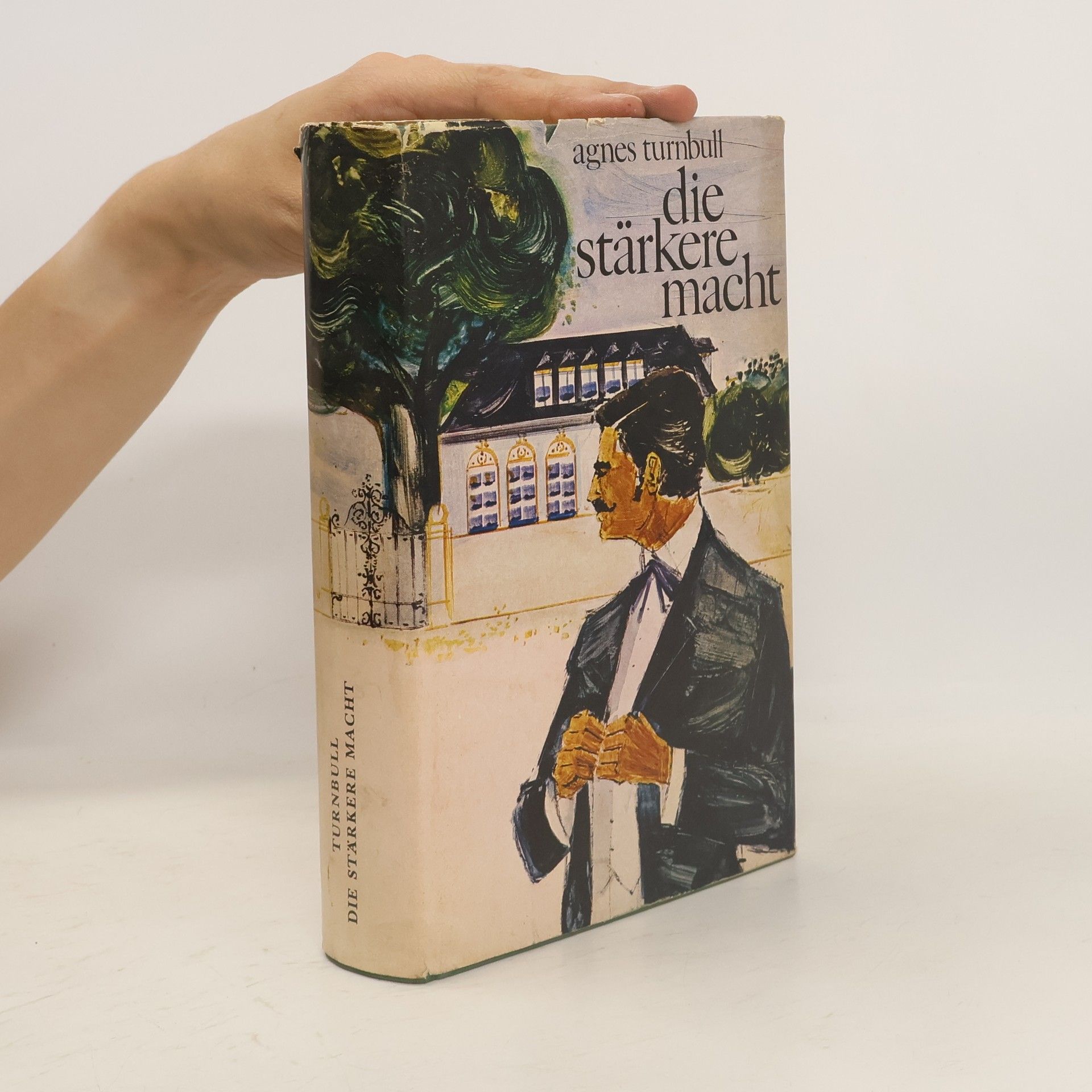 Agnes Turnbull Die stärkere macht