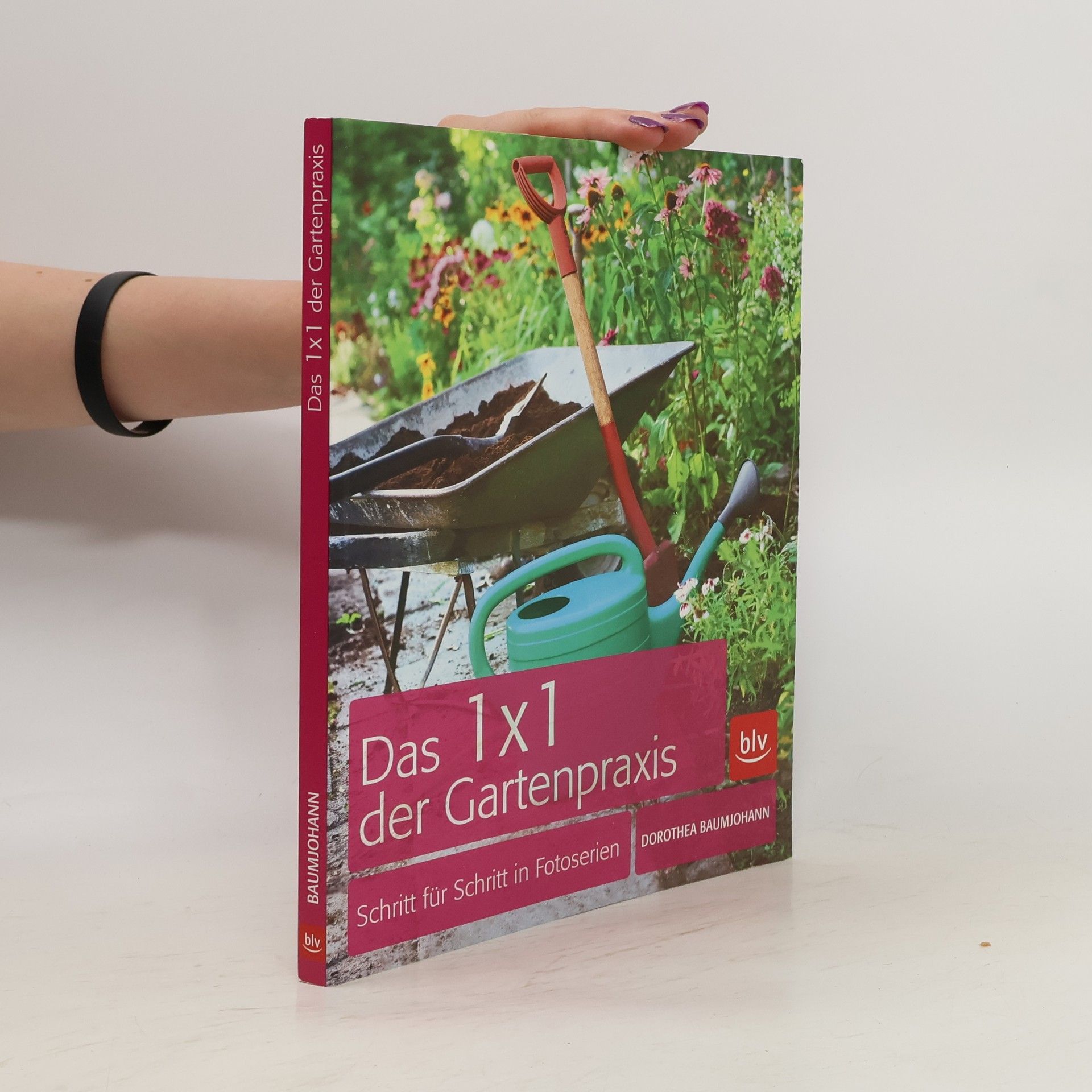 Dorothea Baumjohann Das 1 x 1 der Gartenpraxis