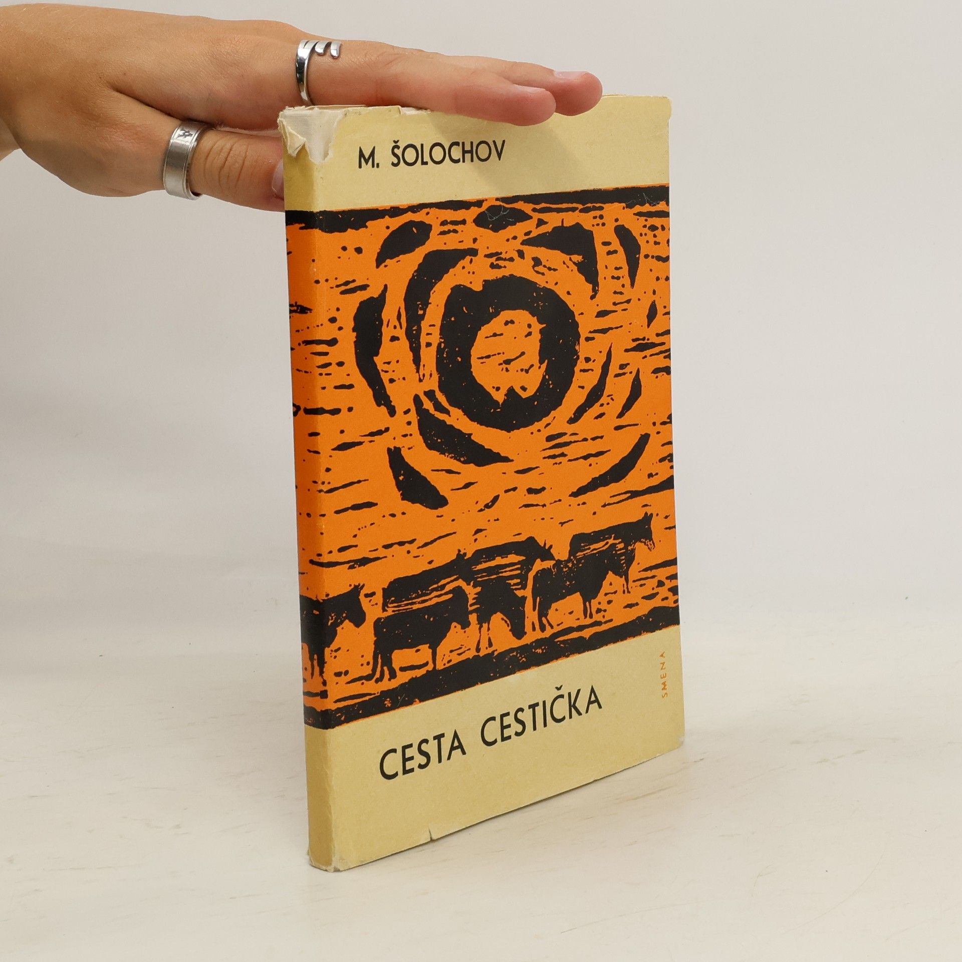 Šolochov Michal Cesta cestička