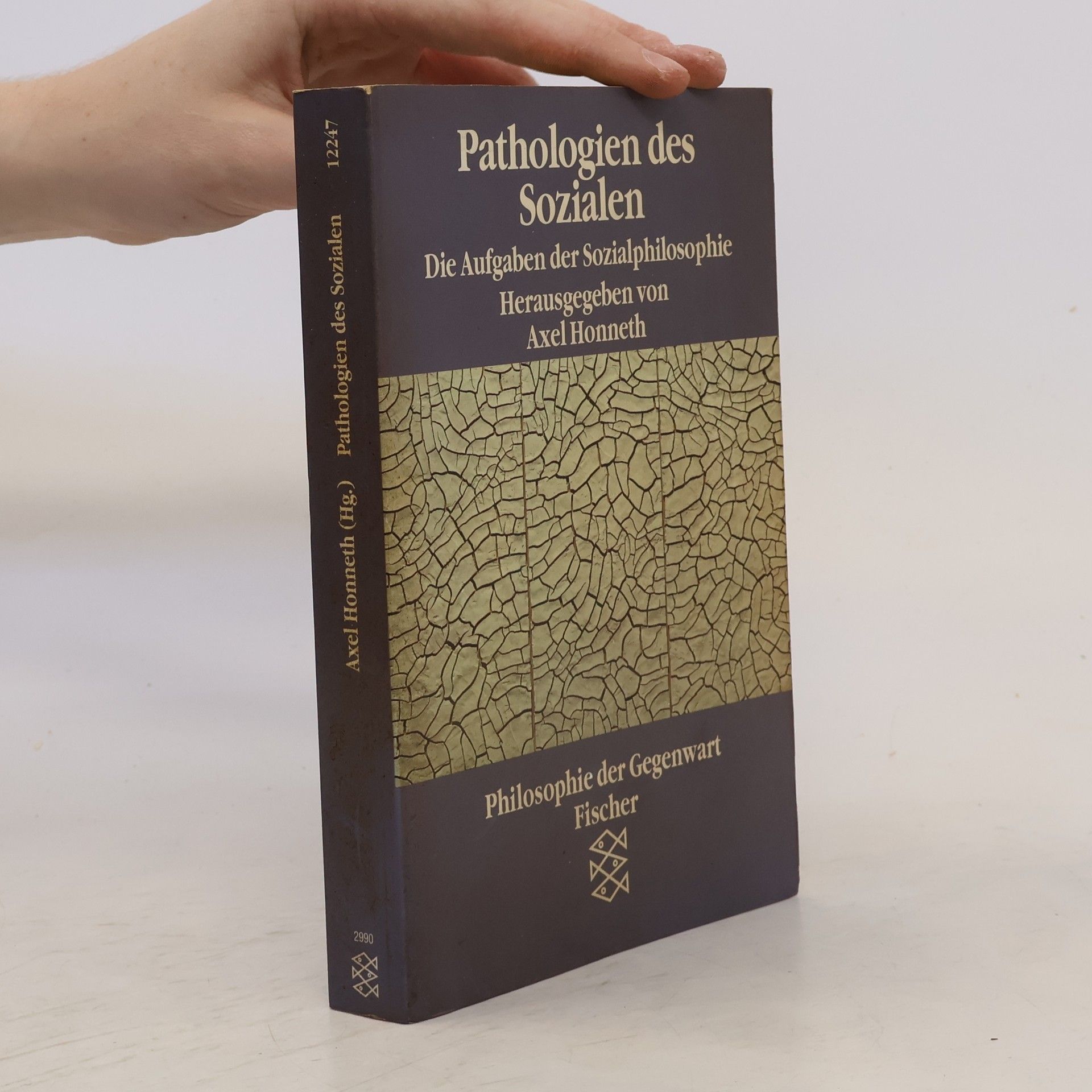 Axel Honneth Pathologien des Sozialen