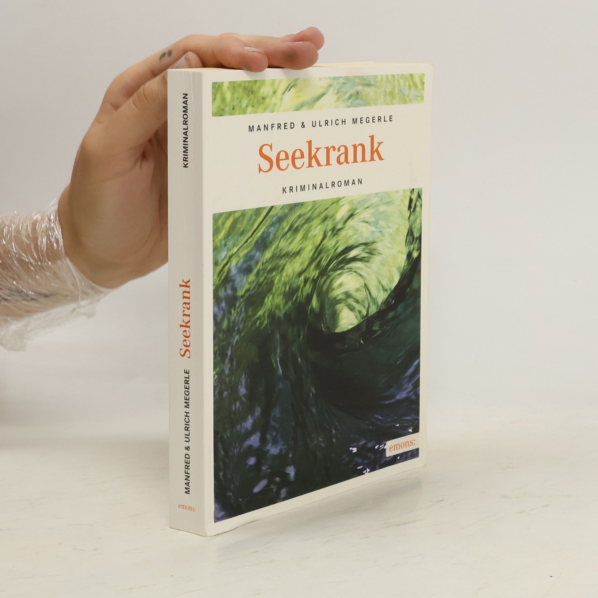 Ulrich Megerle Seekrank