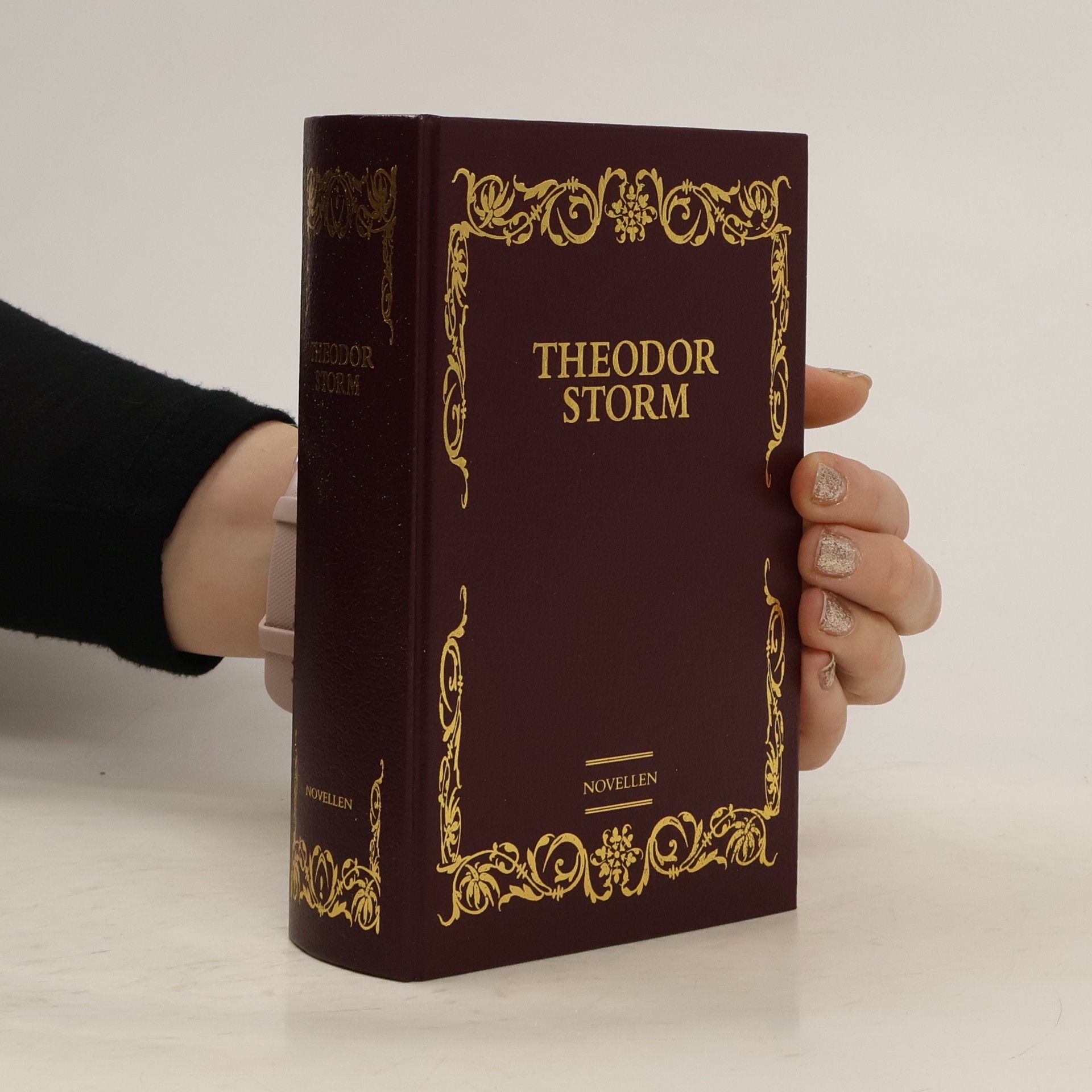 Theodor Storm Novellen