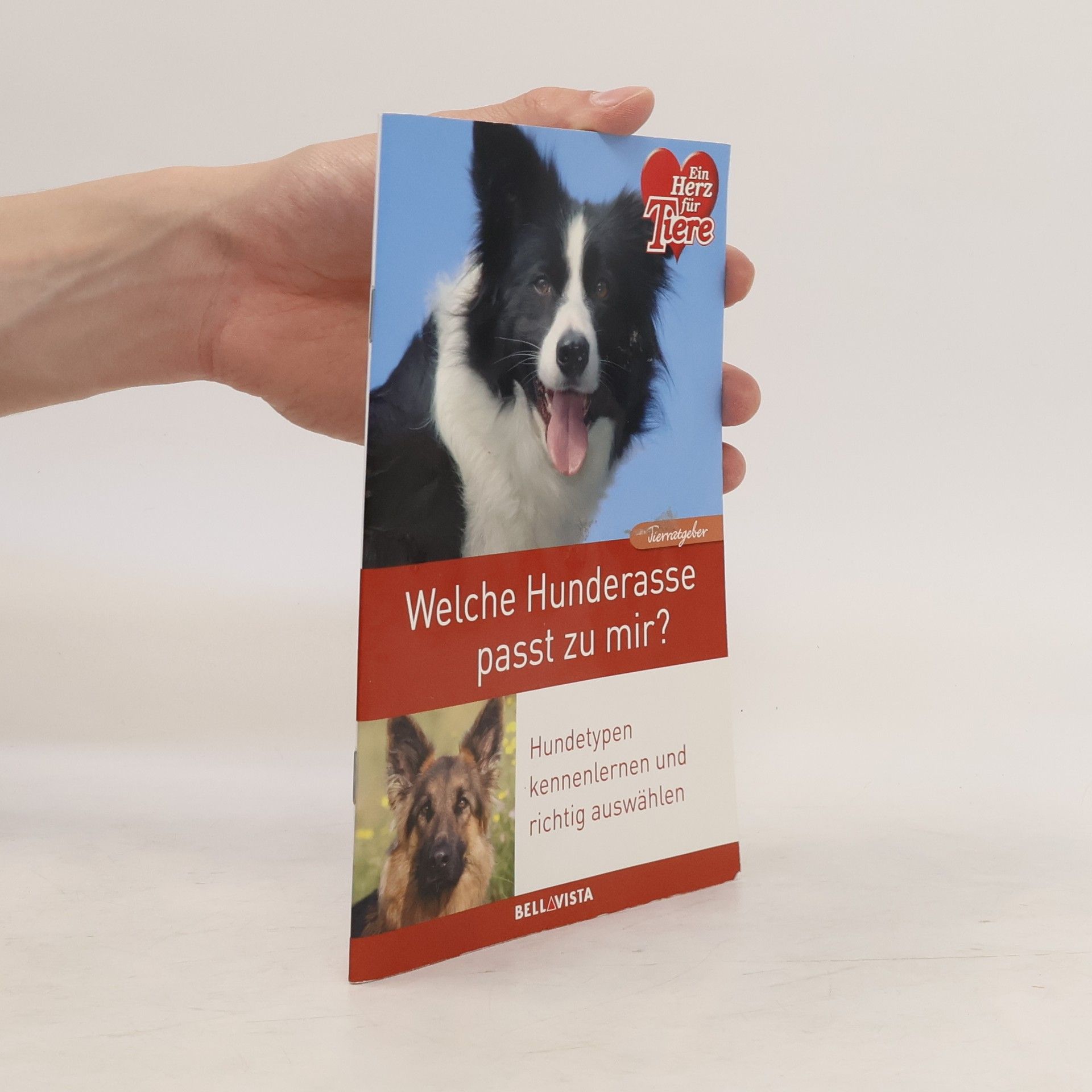 Collective Welche Hunderasse passt zu mir?