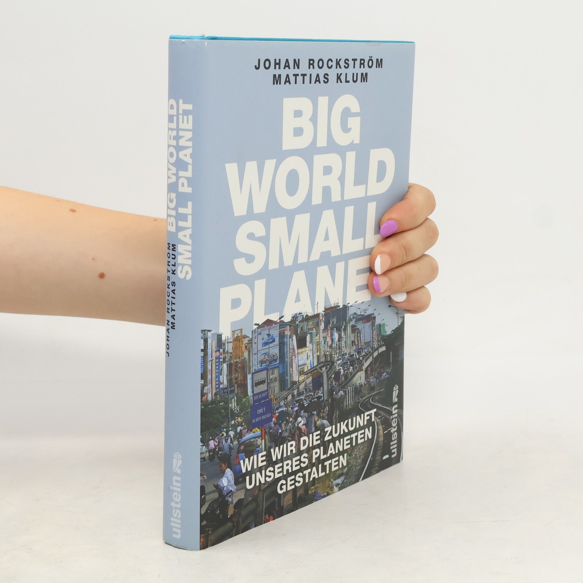 Johan Rockström Big World Small Planet