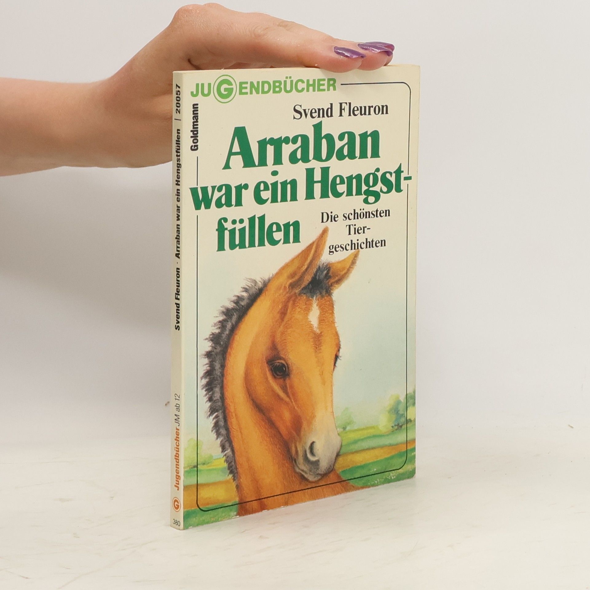 Svend Fleuron Arraban war ein Hengstfüllen