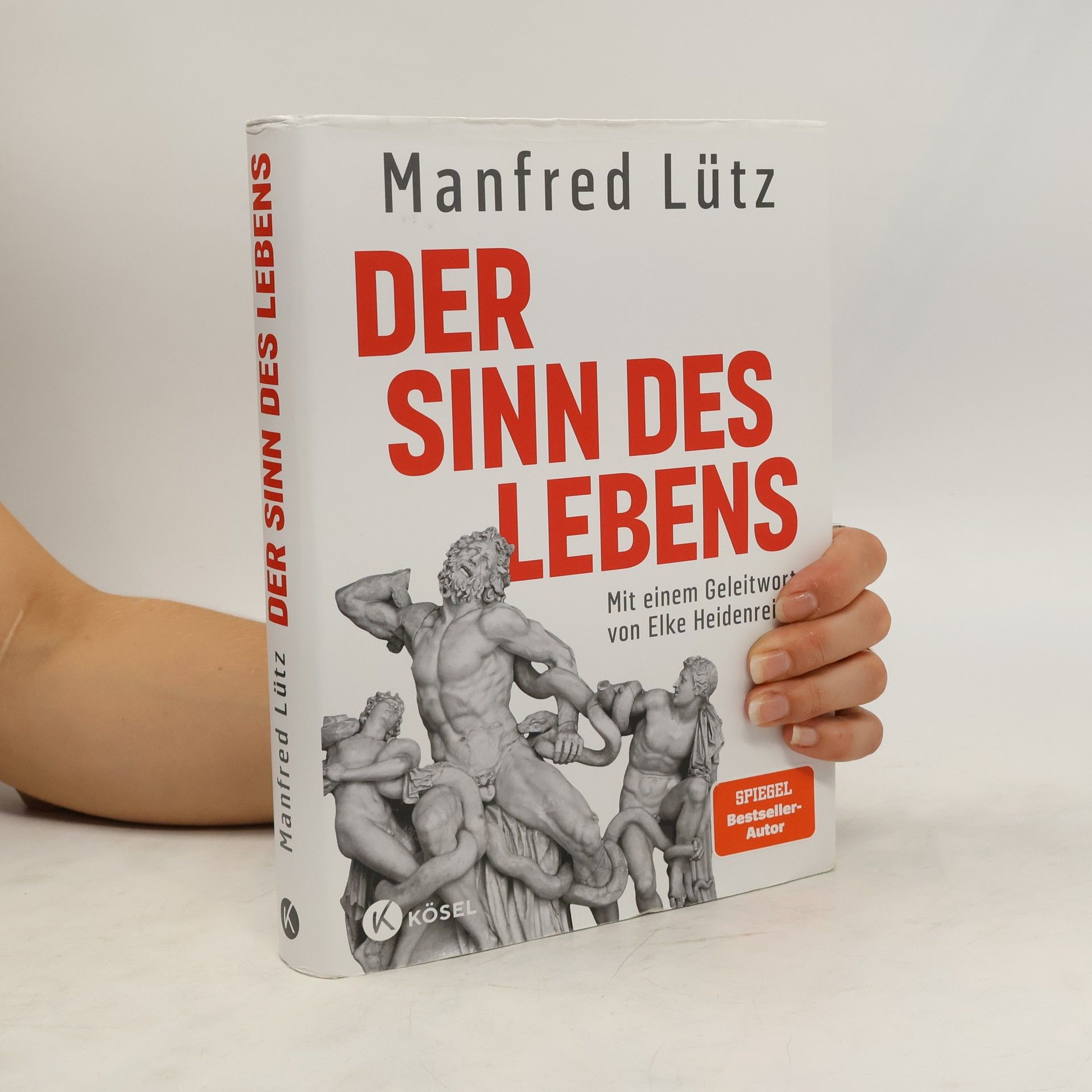 Manfred Lütz Der Sinn des Lebens