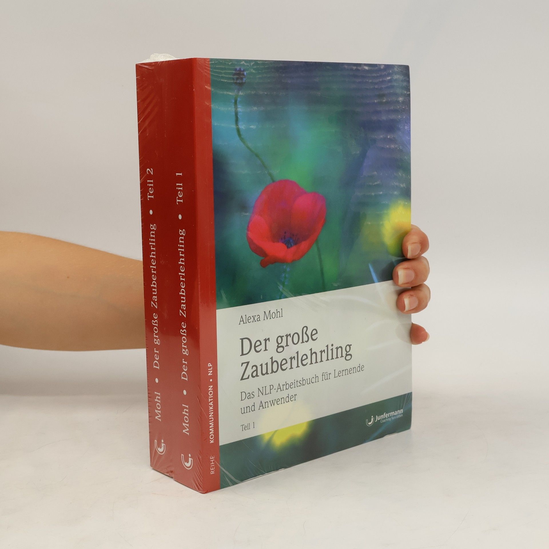 Alexa Mohl Der große Zauberlehrling