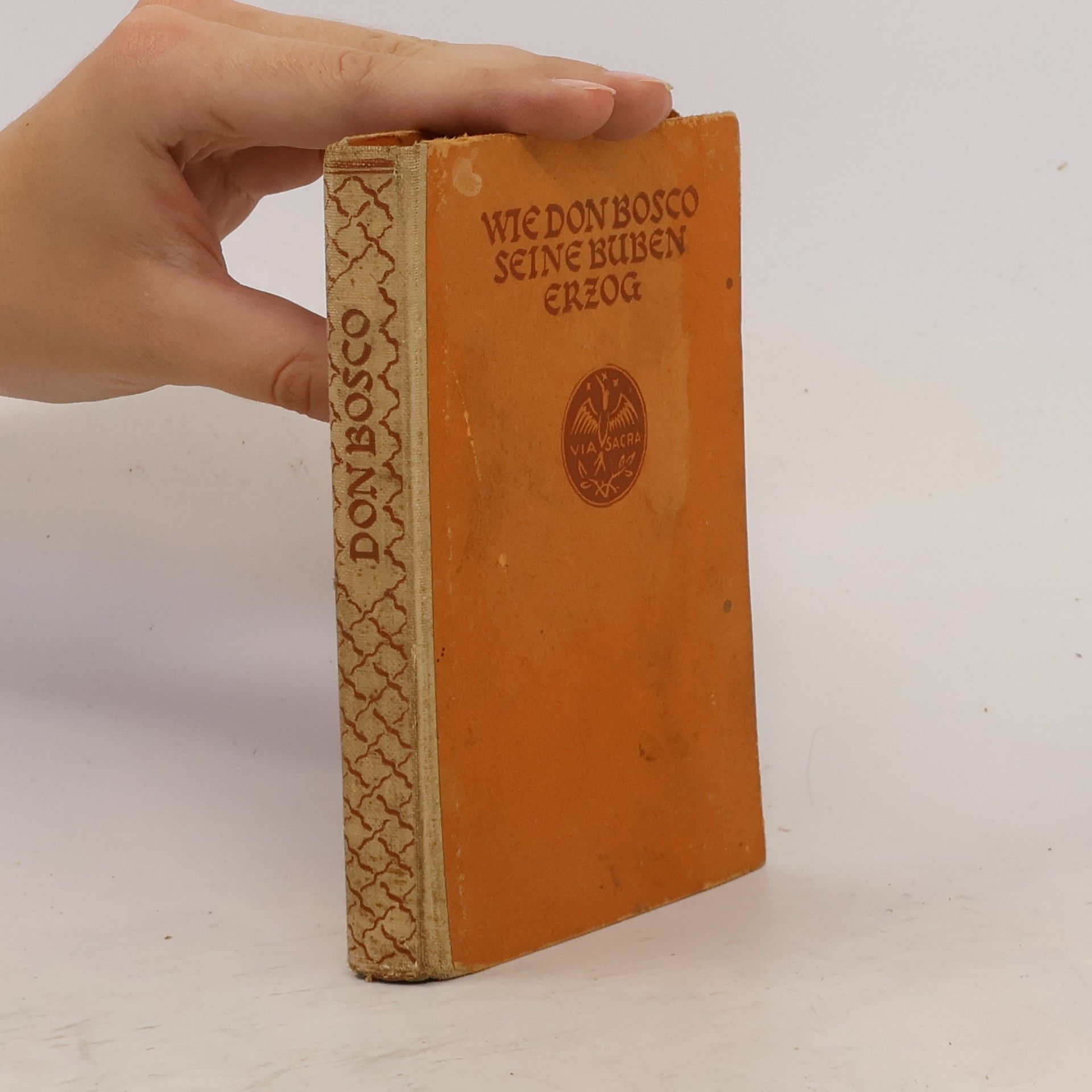 Autorenkollektiv Wie Don Bosco seine Buben erzog