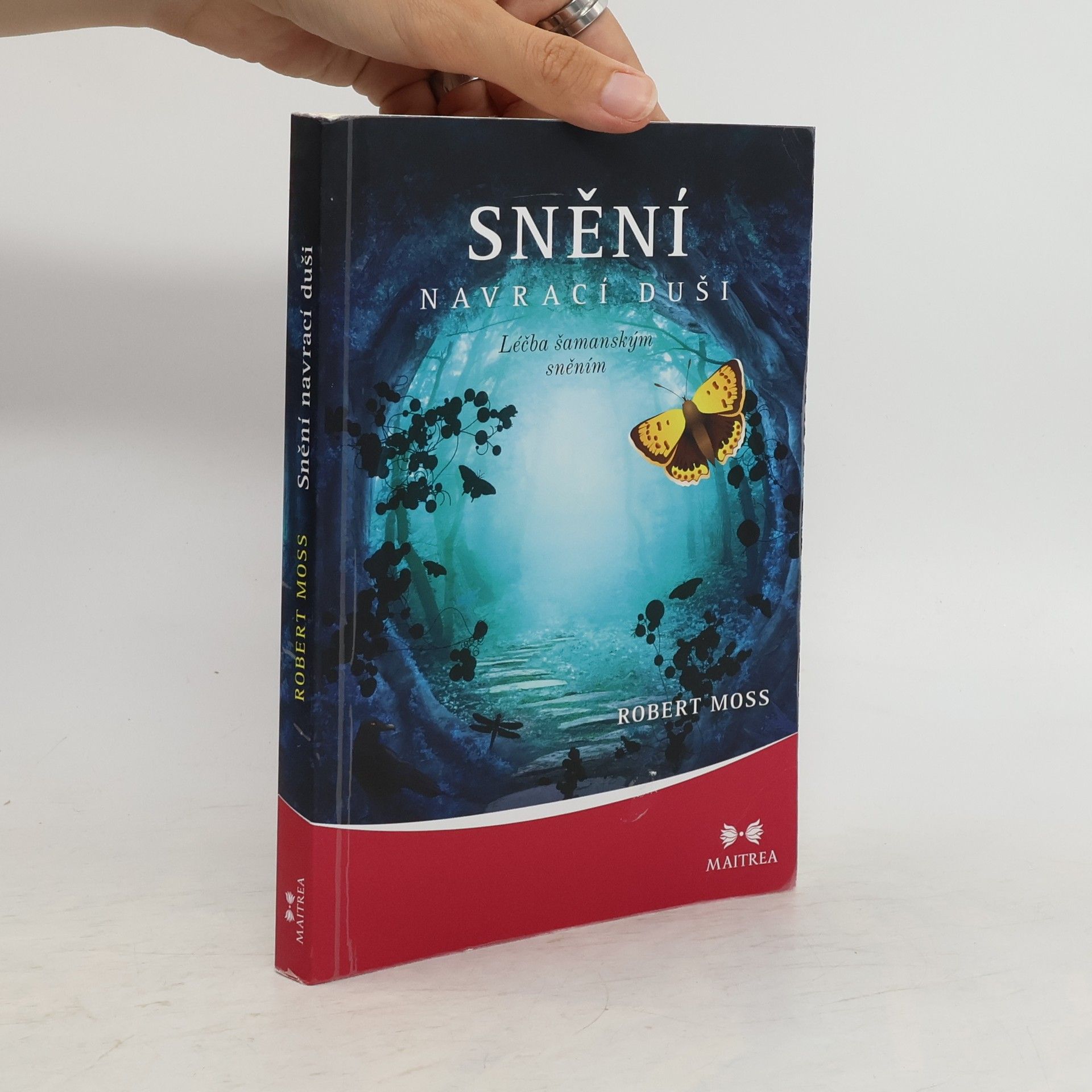Robert Moss Snění navrací duši. Léčba šamanským sněním