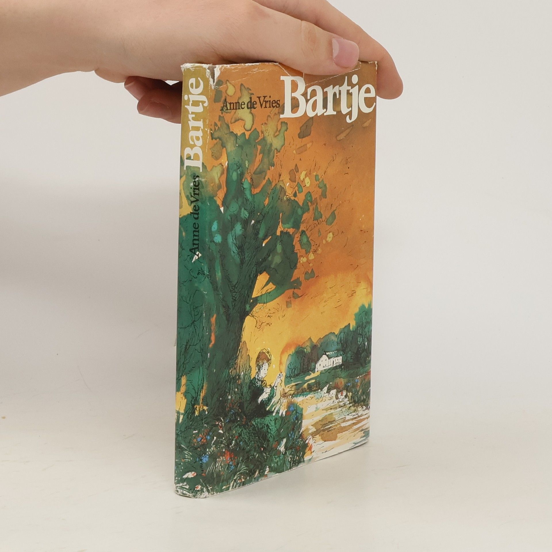 Anne de Vries Bartje